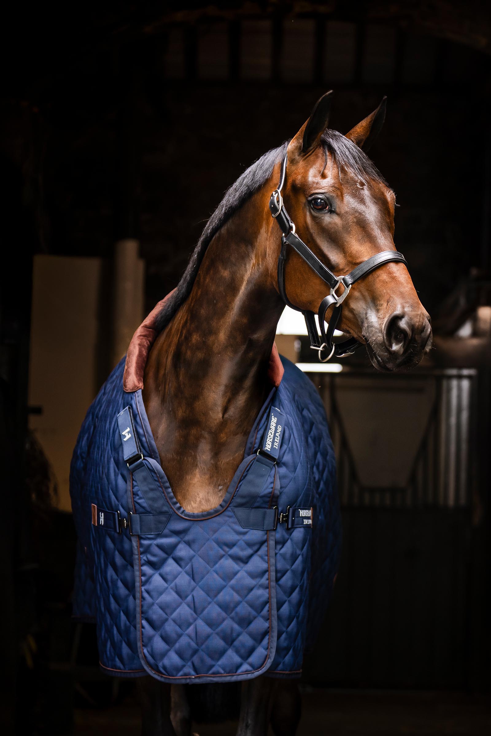 Horseware Signature staldd&aelig;kken, 200 g