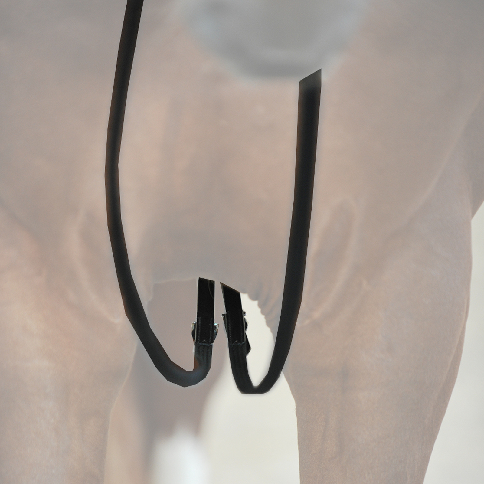 Kavalkade glidet&oslash;jler, webbing