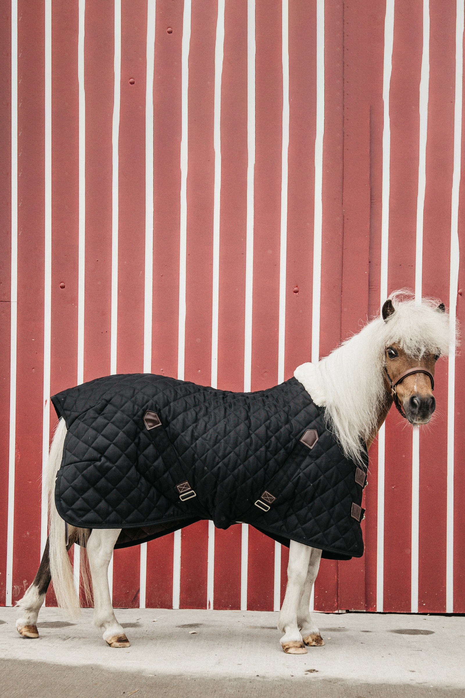Kentucky Horsewear staldd&aelig;kken, 400 g
