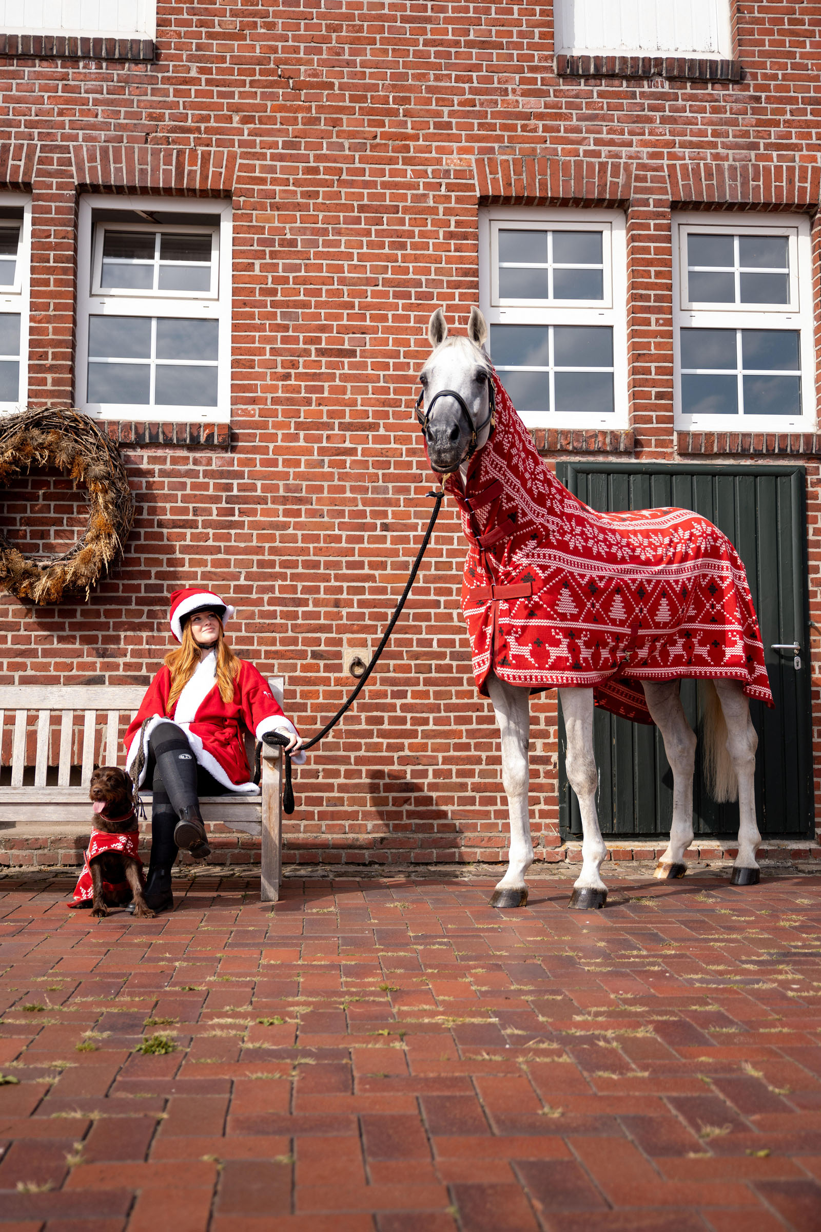 Horze julepullover til heste