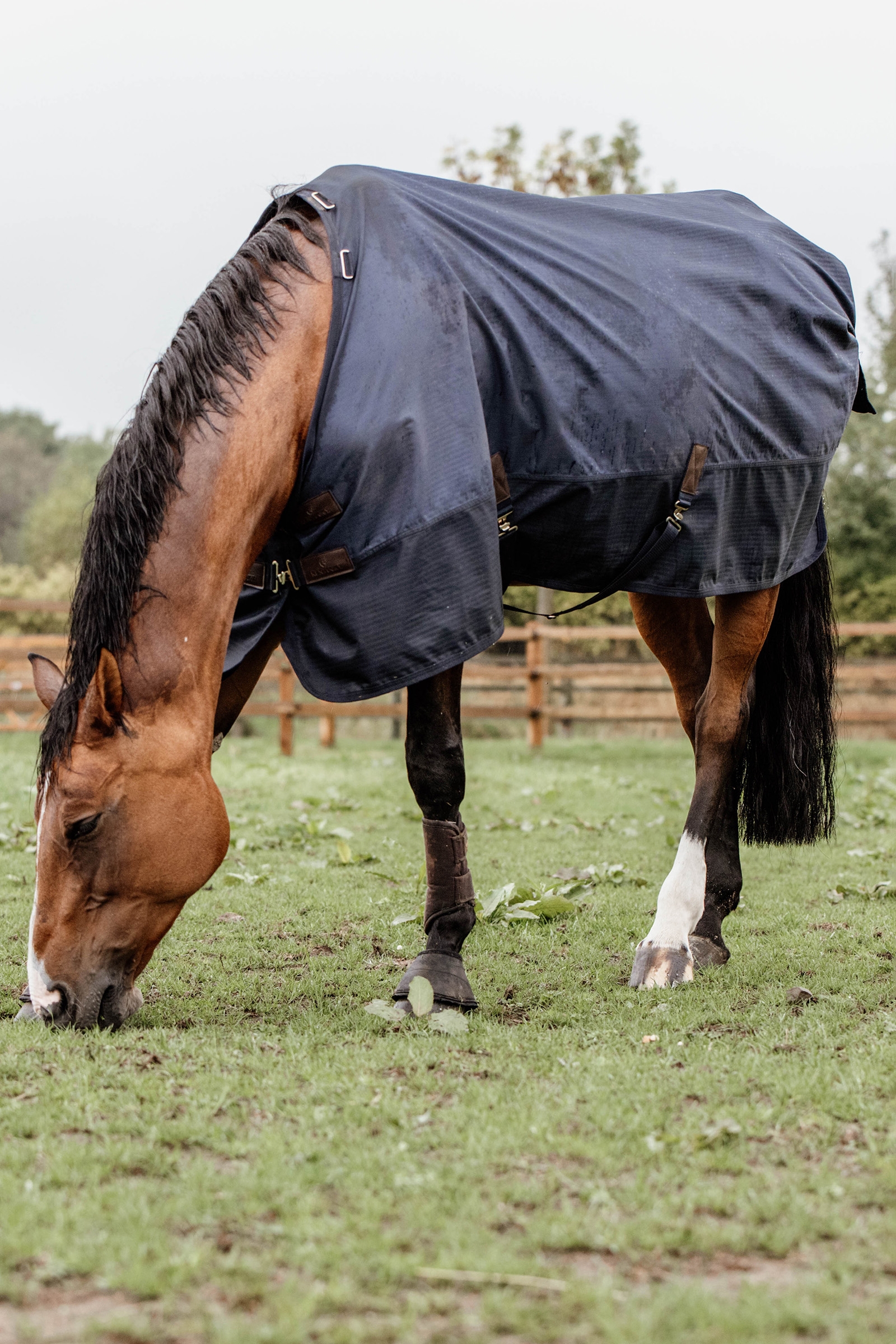 Kentucky Horsewear All Weather Udedækken, 300g