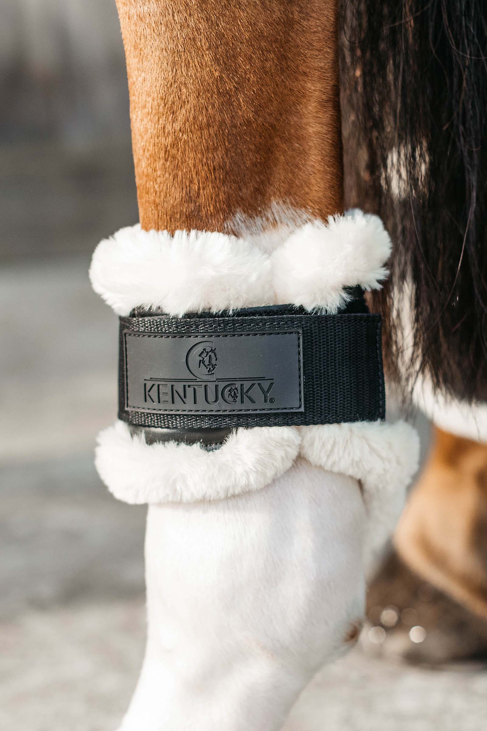 Kentucky Horsewear Vegan Sheepskin Young Horse Fetlock Kodegamacher