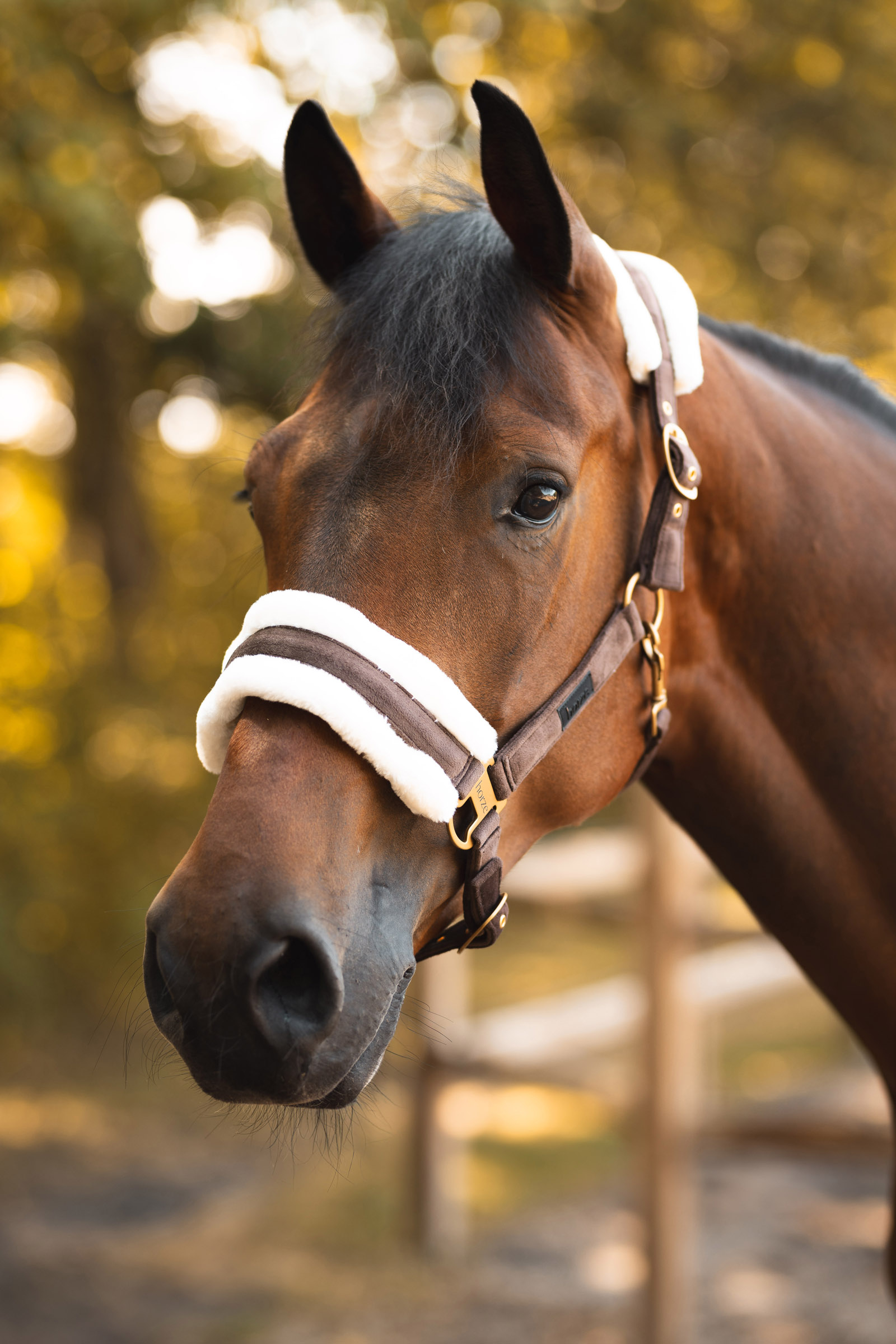 Horze St. Moritz Grime