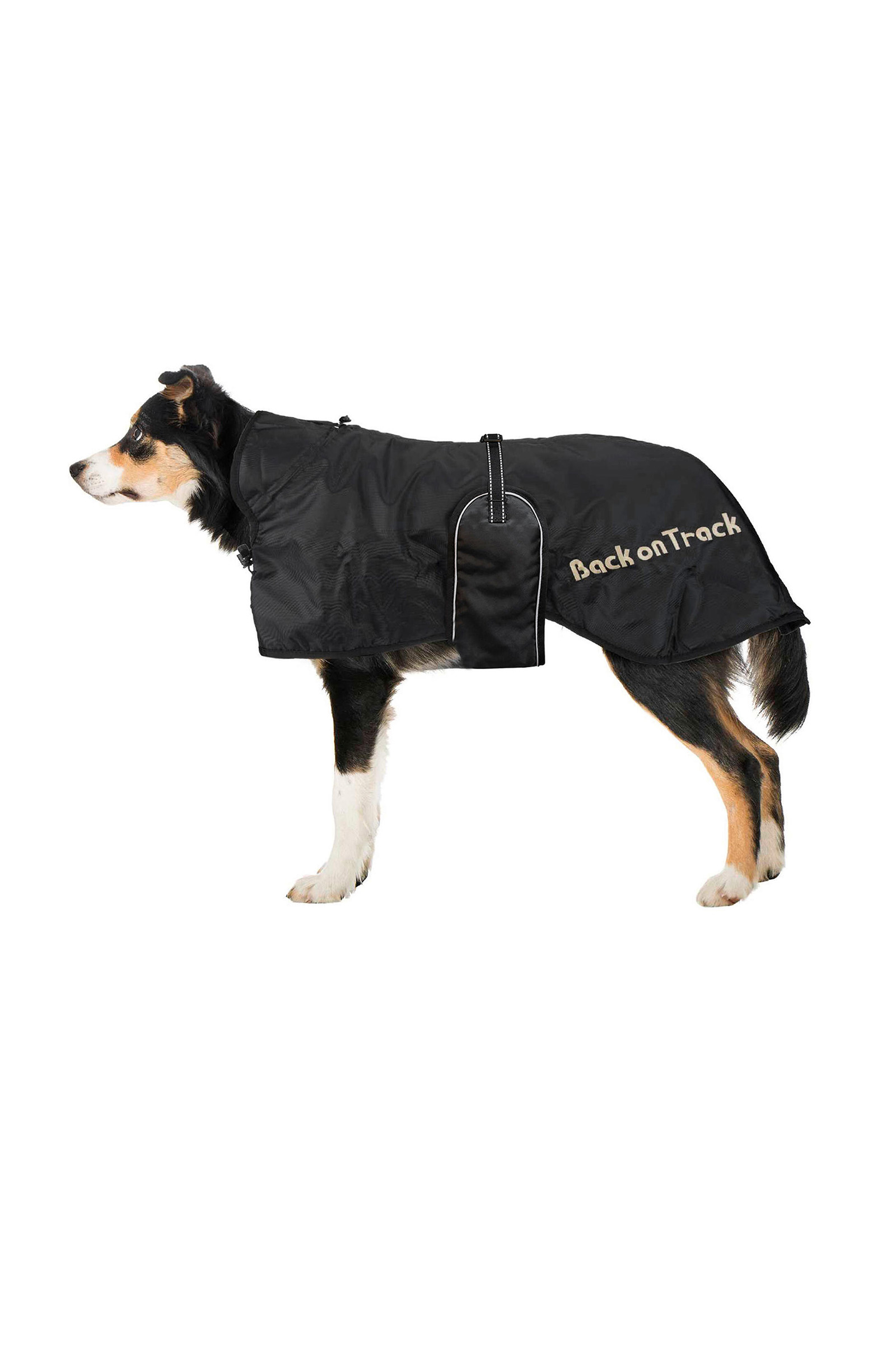 Back on Track hunded&aelig;kken (43-59)