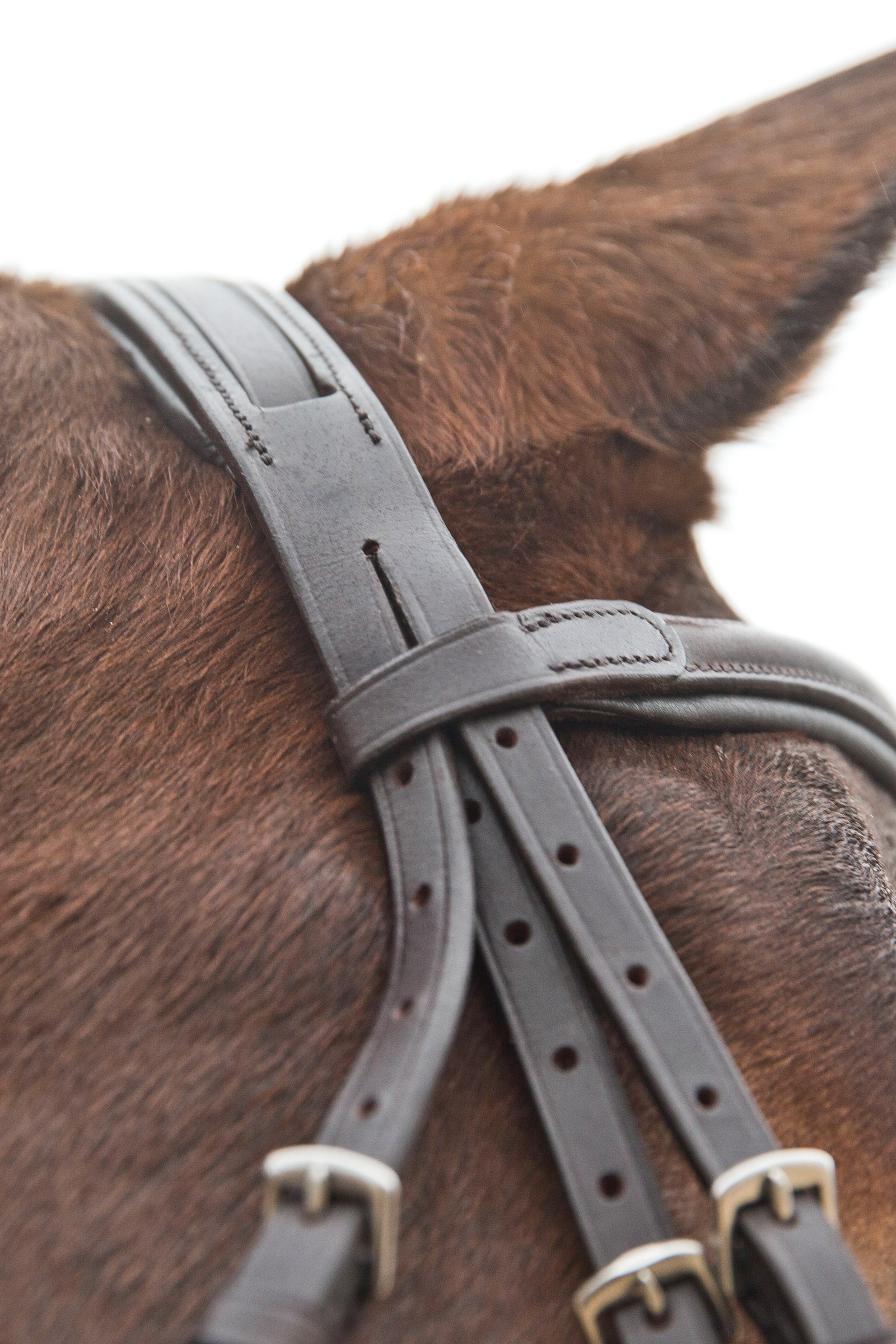 Horze Prescott trense med krydsn&aelig;seb&aring;nd