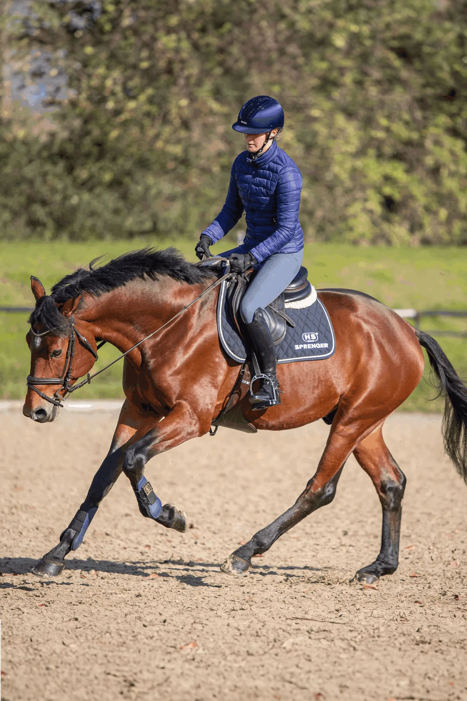 Sprenger Novocontact Eggbuttbid 14mm Enkeltleddet Sensogan Med D-Formede Ringe