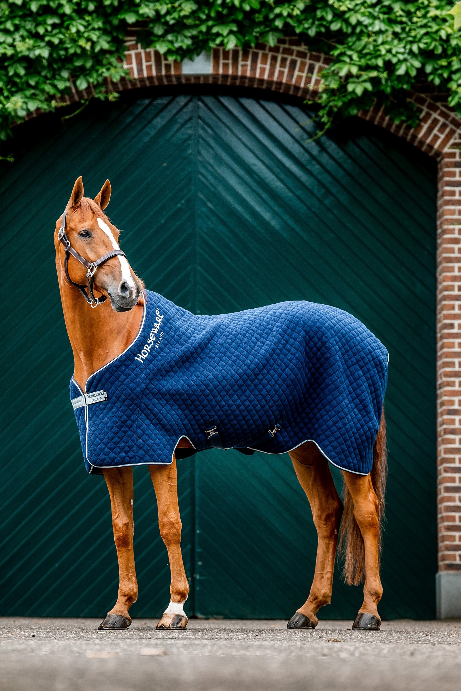 Navy/Navy Horseware Autumn Cooler-dækken
