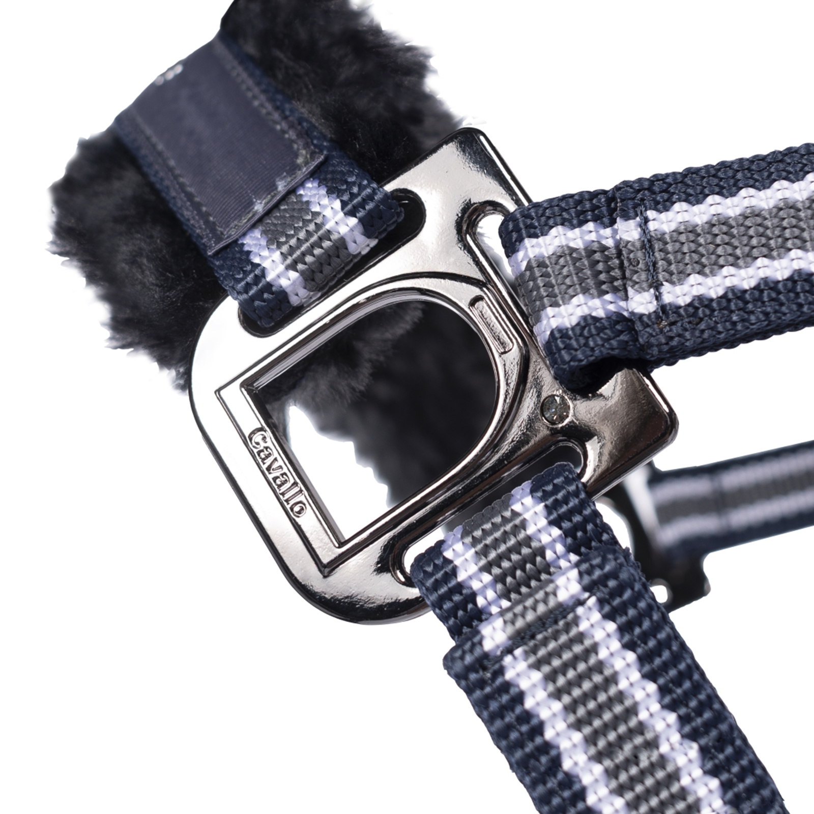 Cavallo CavalHelia grime