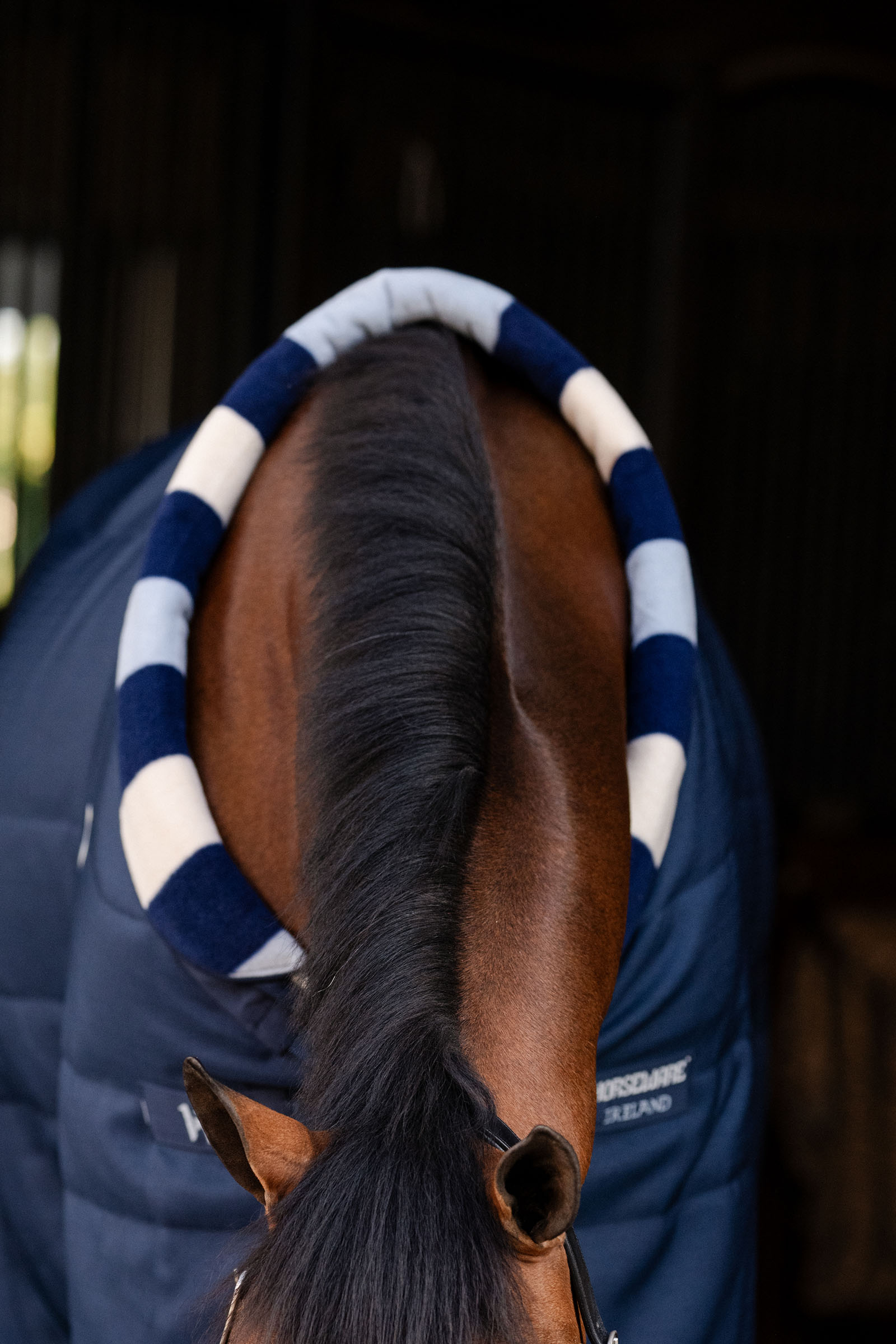 Horseware Newmarket Cosy Stalddækken 100g