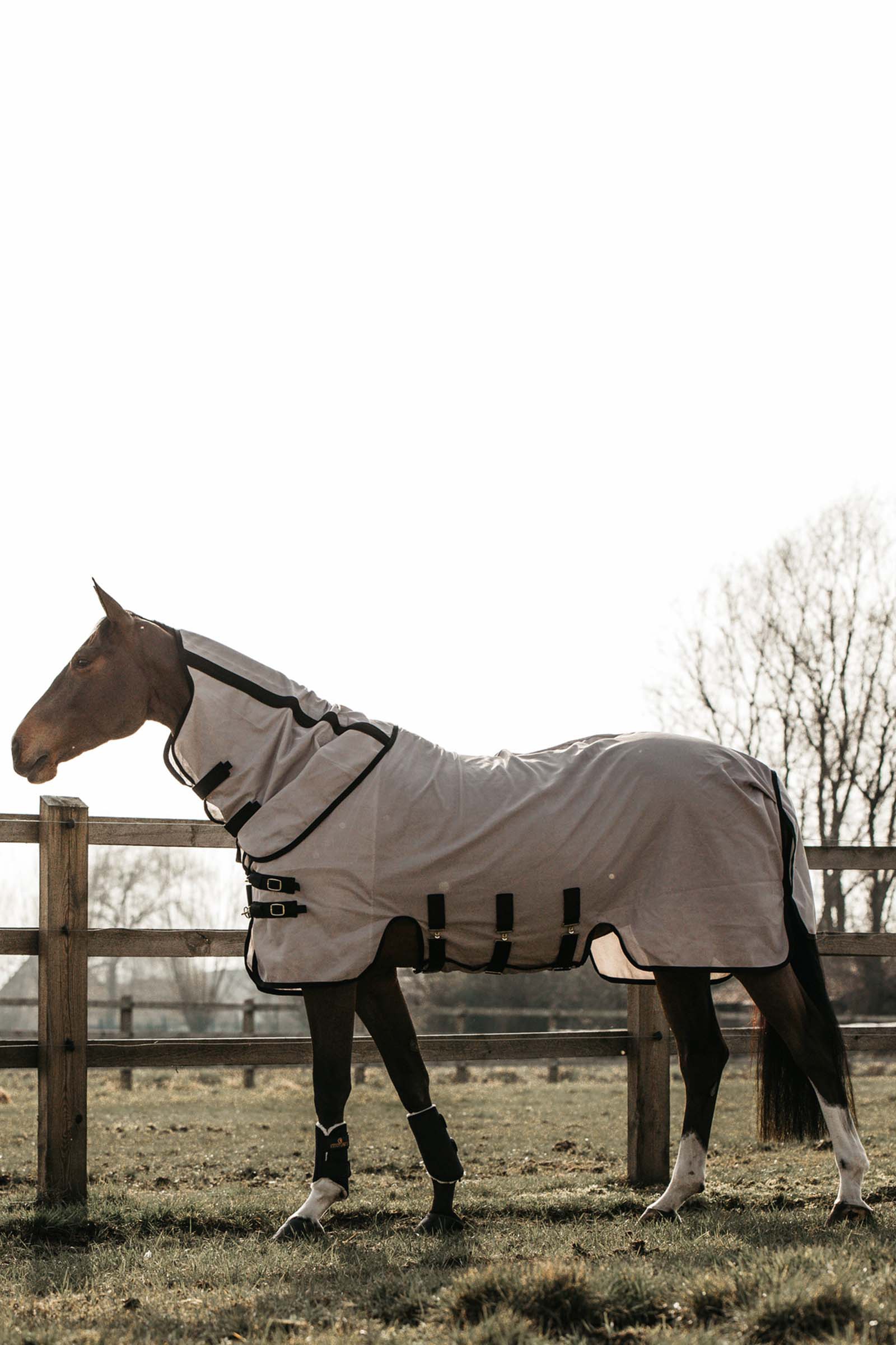 Kentucky Horsewear Mesh Fly Rug
