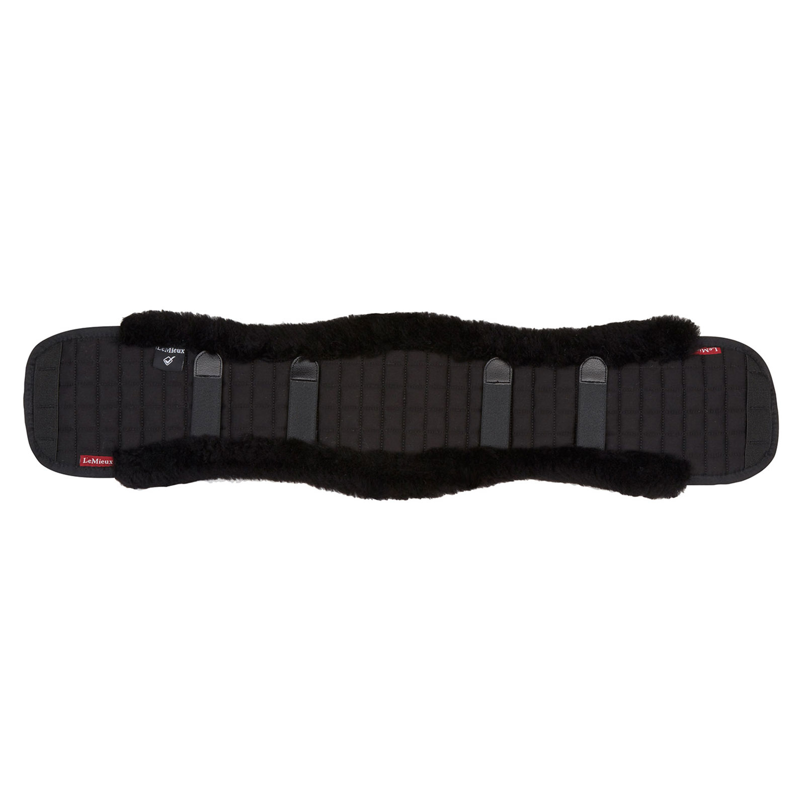 Dressur gjordbeskytter