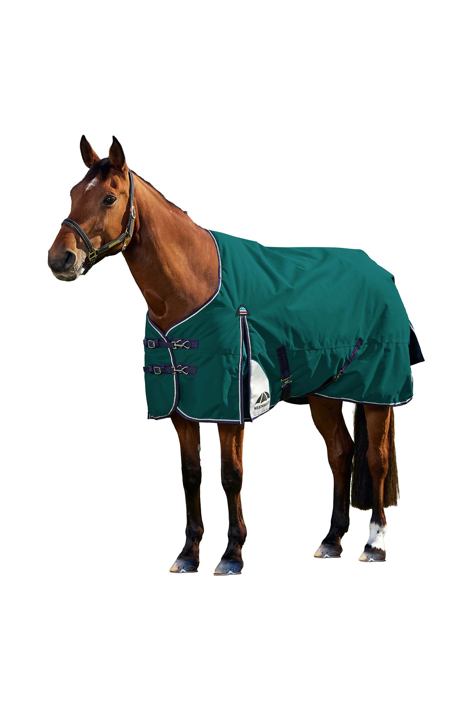 Weatherbeeta ComFiTecPlus Dynamic Turnout Standard Neck 0G