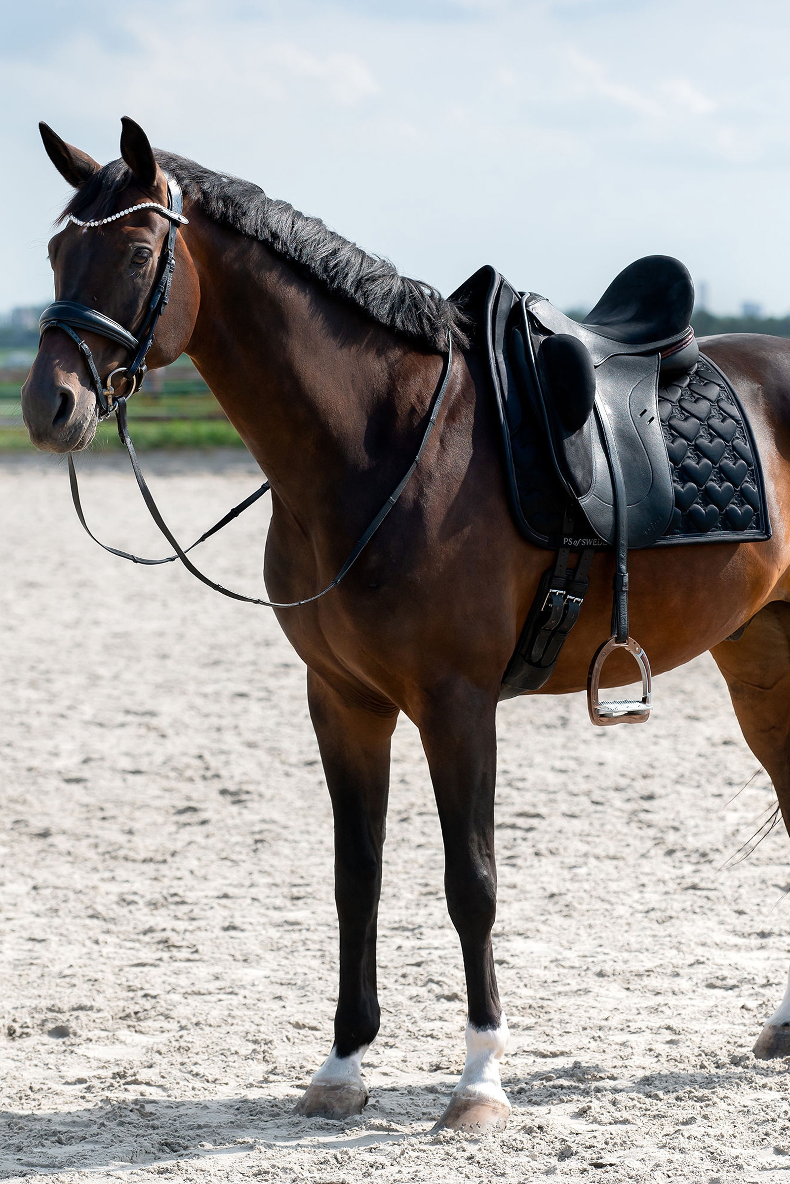 PS of Sweden Hjerte Dressurunderlag