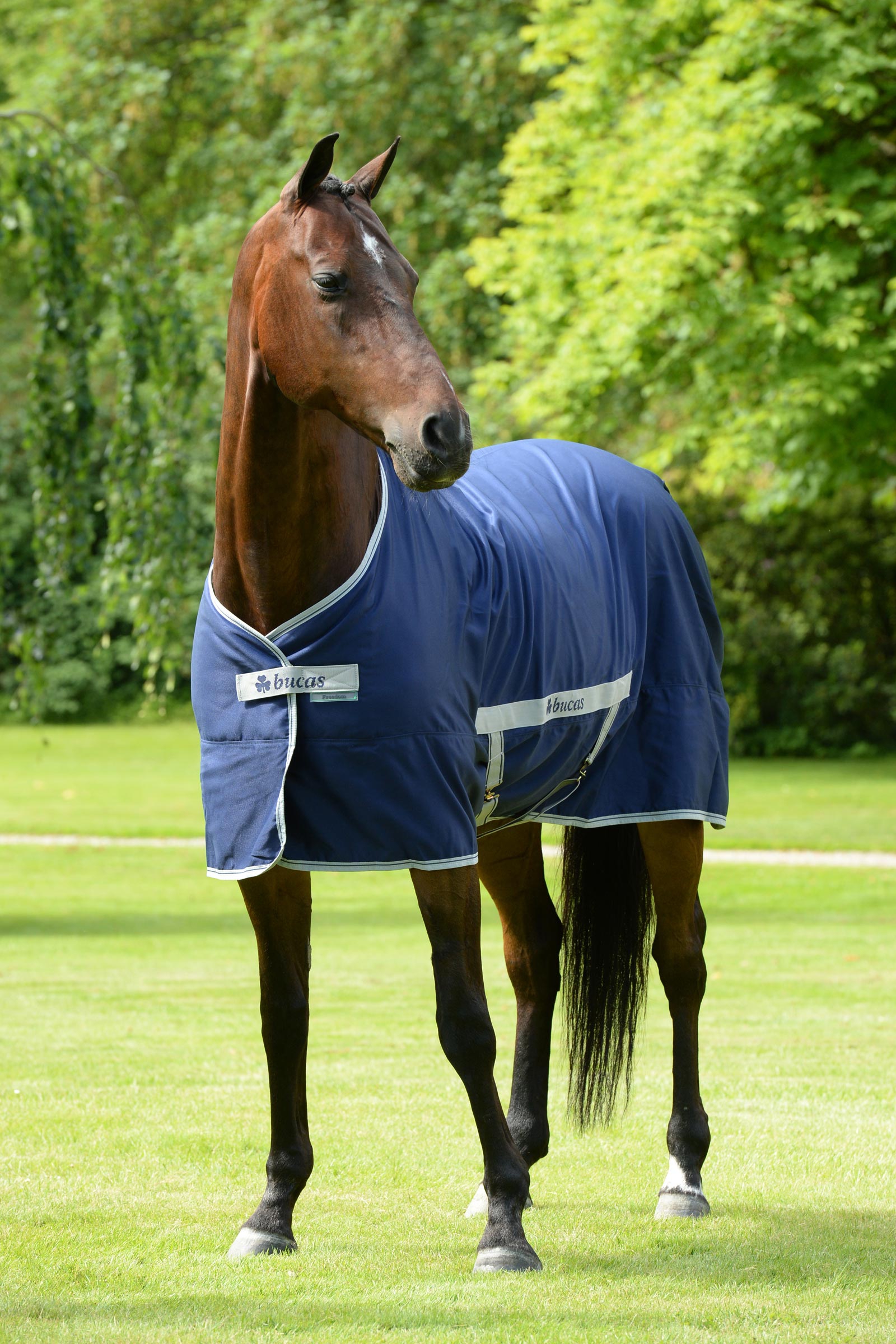 Bucas Freedom Twill Stalddækken, 0 g