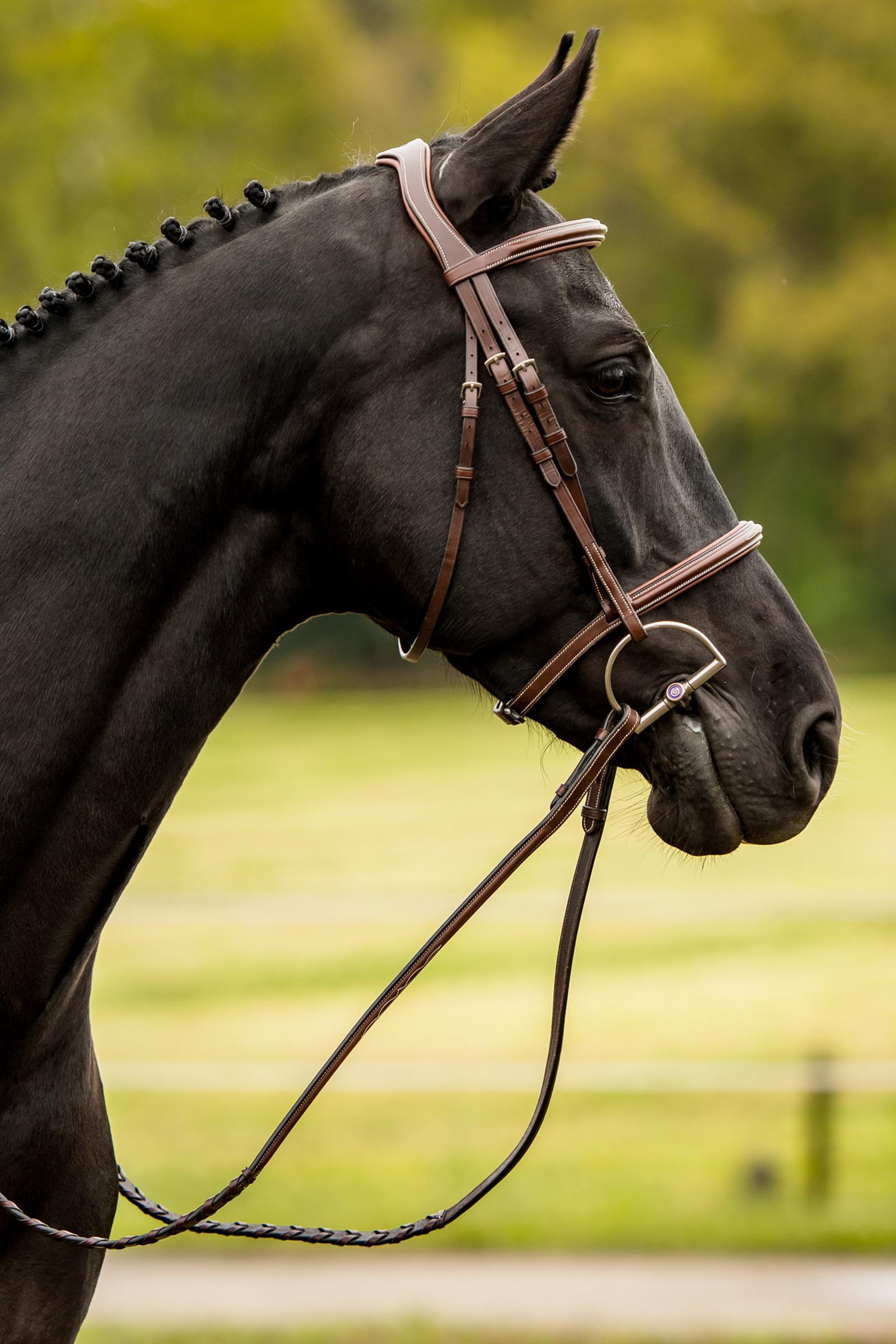 Trust Equestrian Hunter Bridle Kentucky