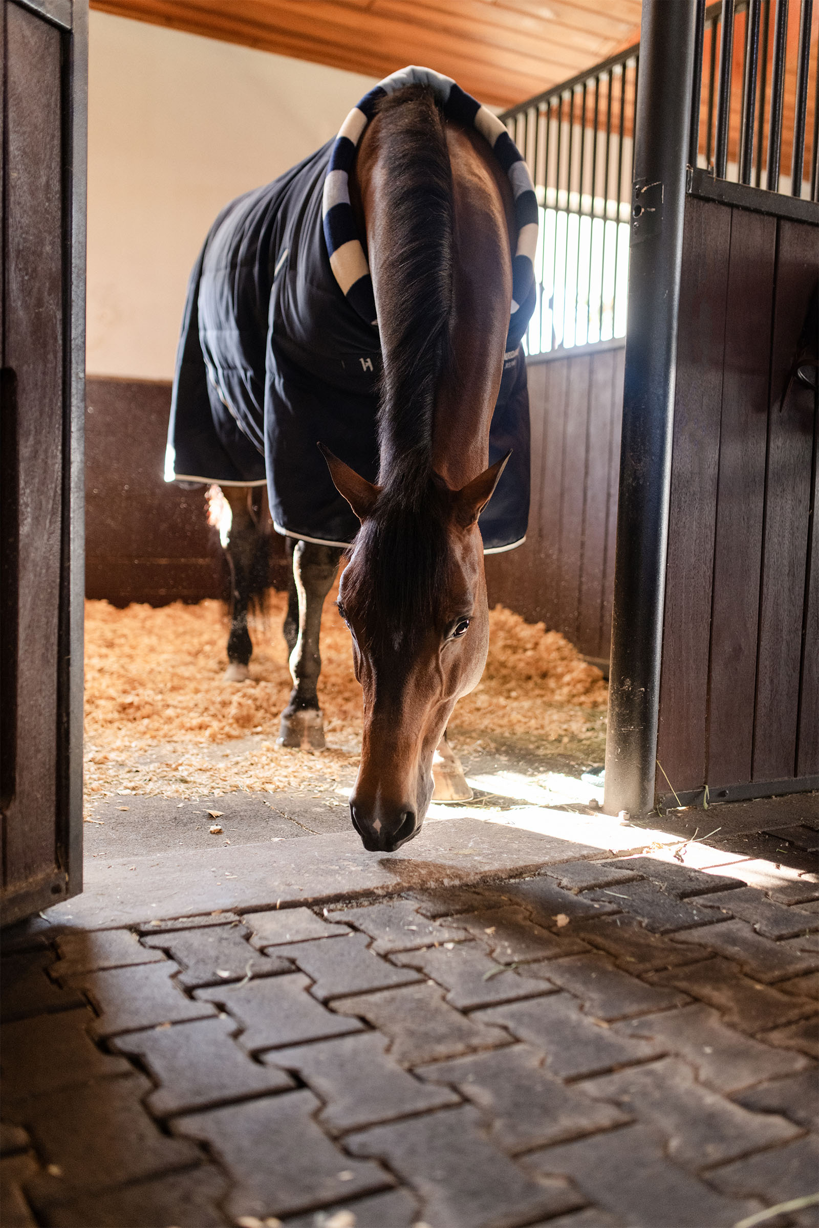 Horseware Newmarket Cosy Stalddækken 100g