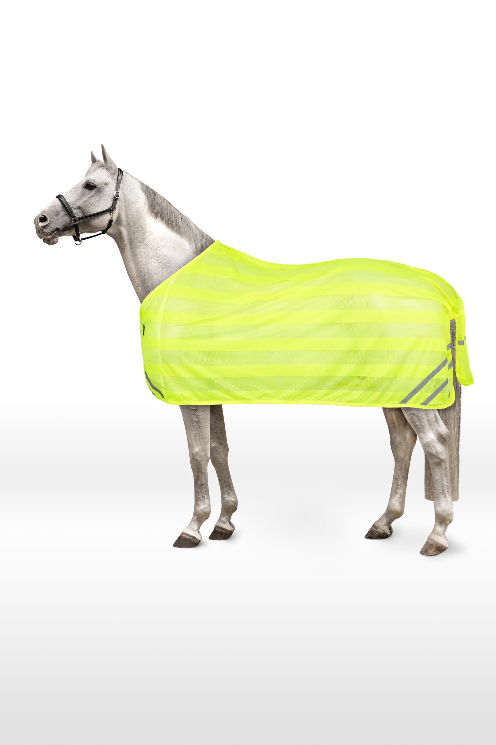 Horze refleks-meshdækken