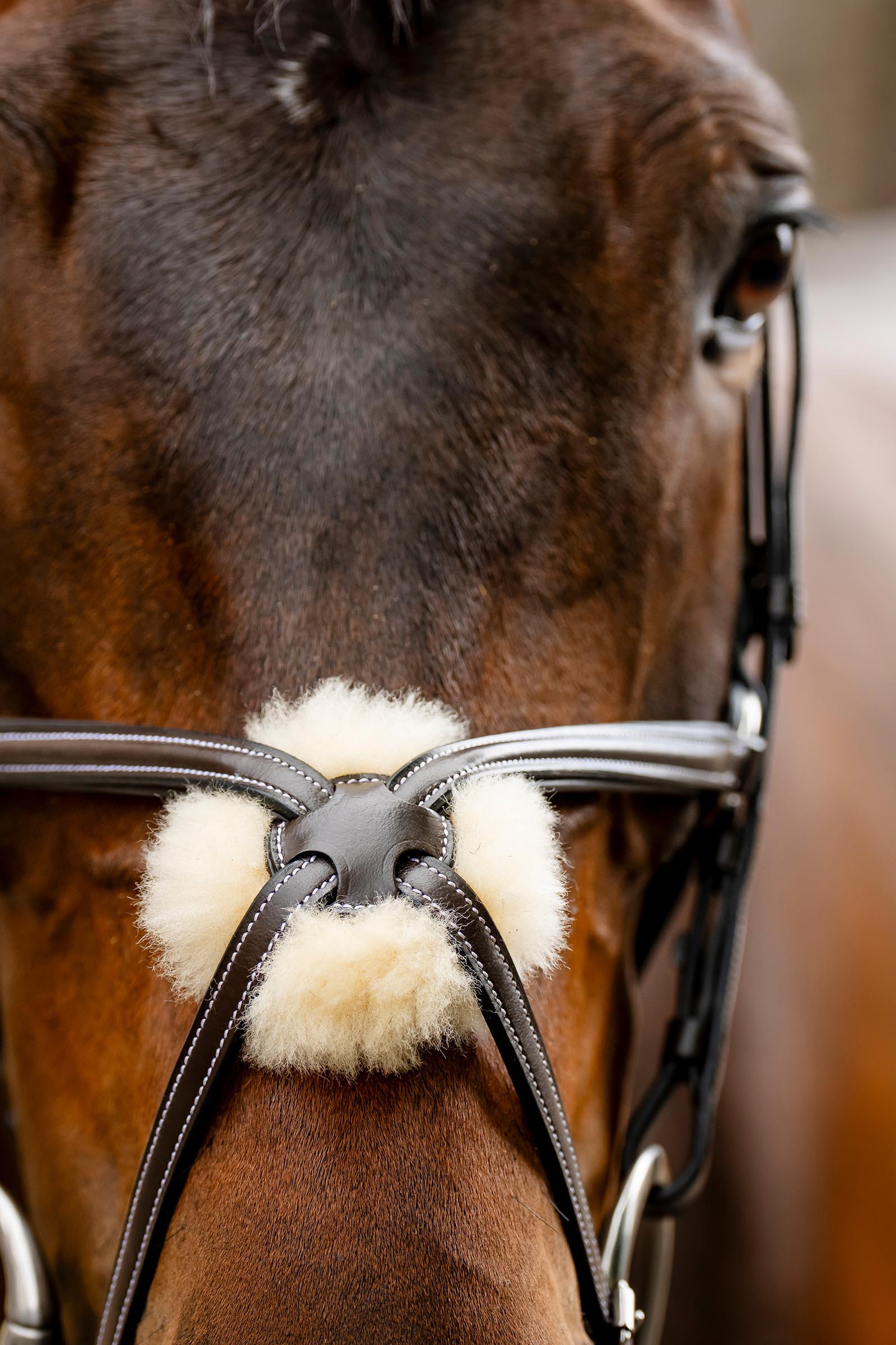 Horseware trense med ottetalsn&aelig;seb&aring;nd