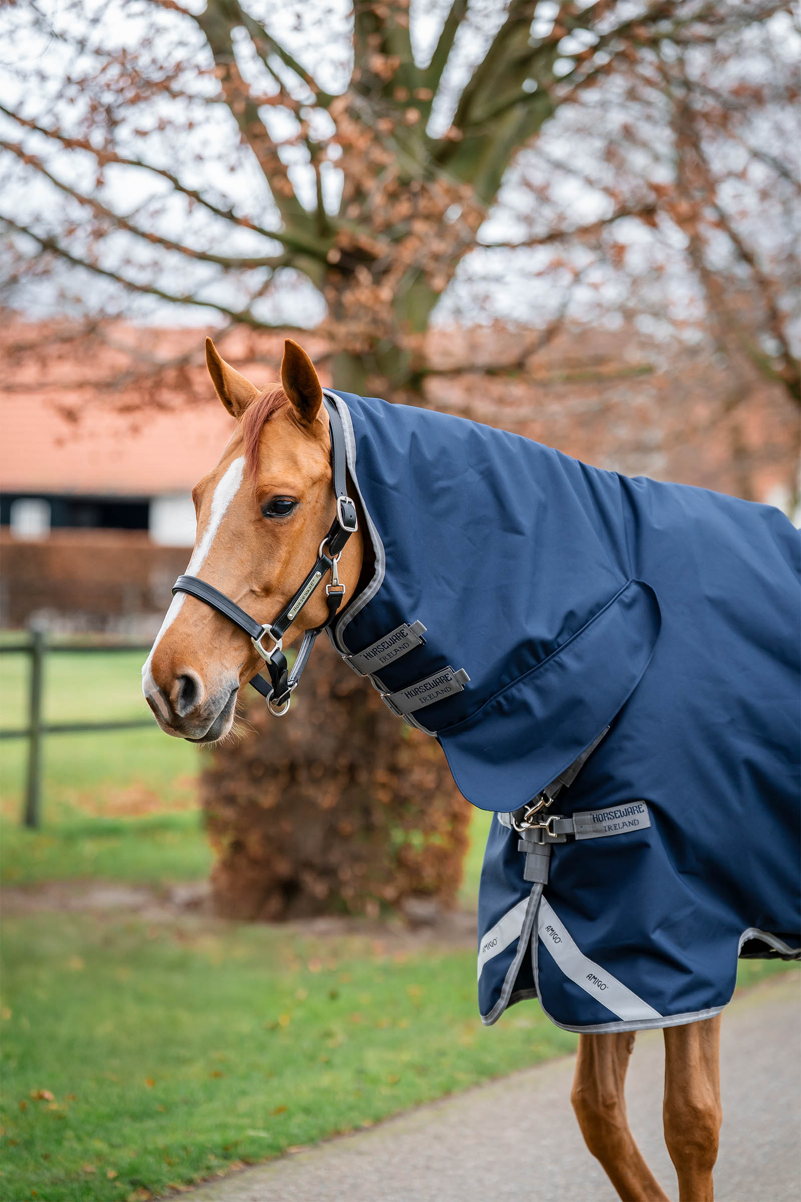 Horseware Amigo 1200D integreret turnoutdækken 250 g