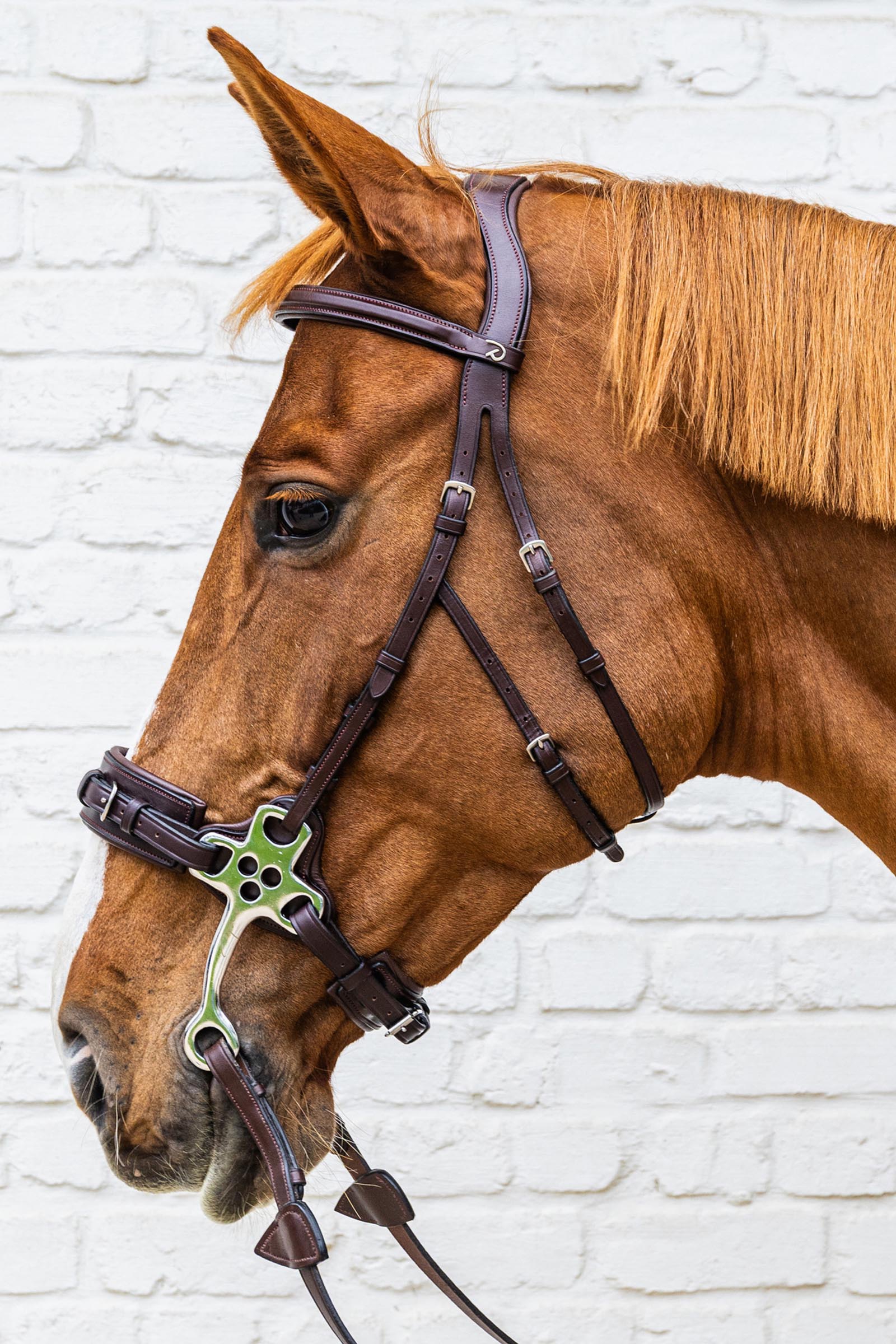 Dy'on New English Collection hackamore trense  