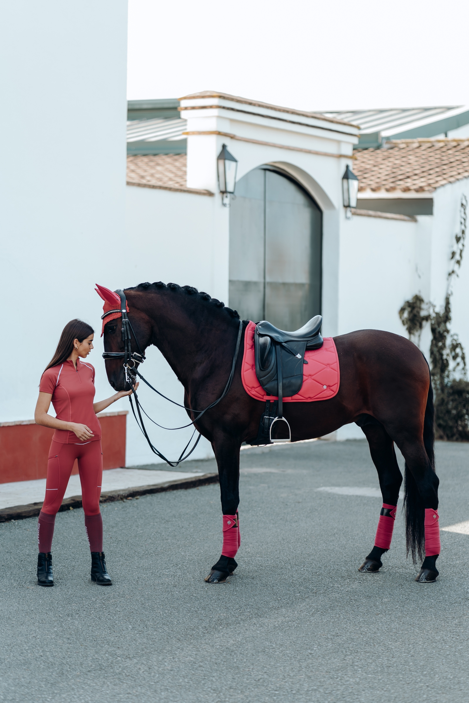 B Vertigo Laurel dressurunderlag