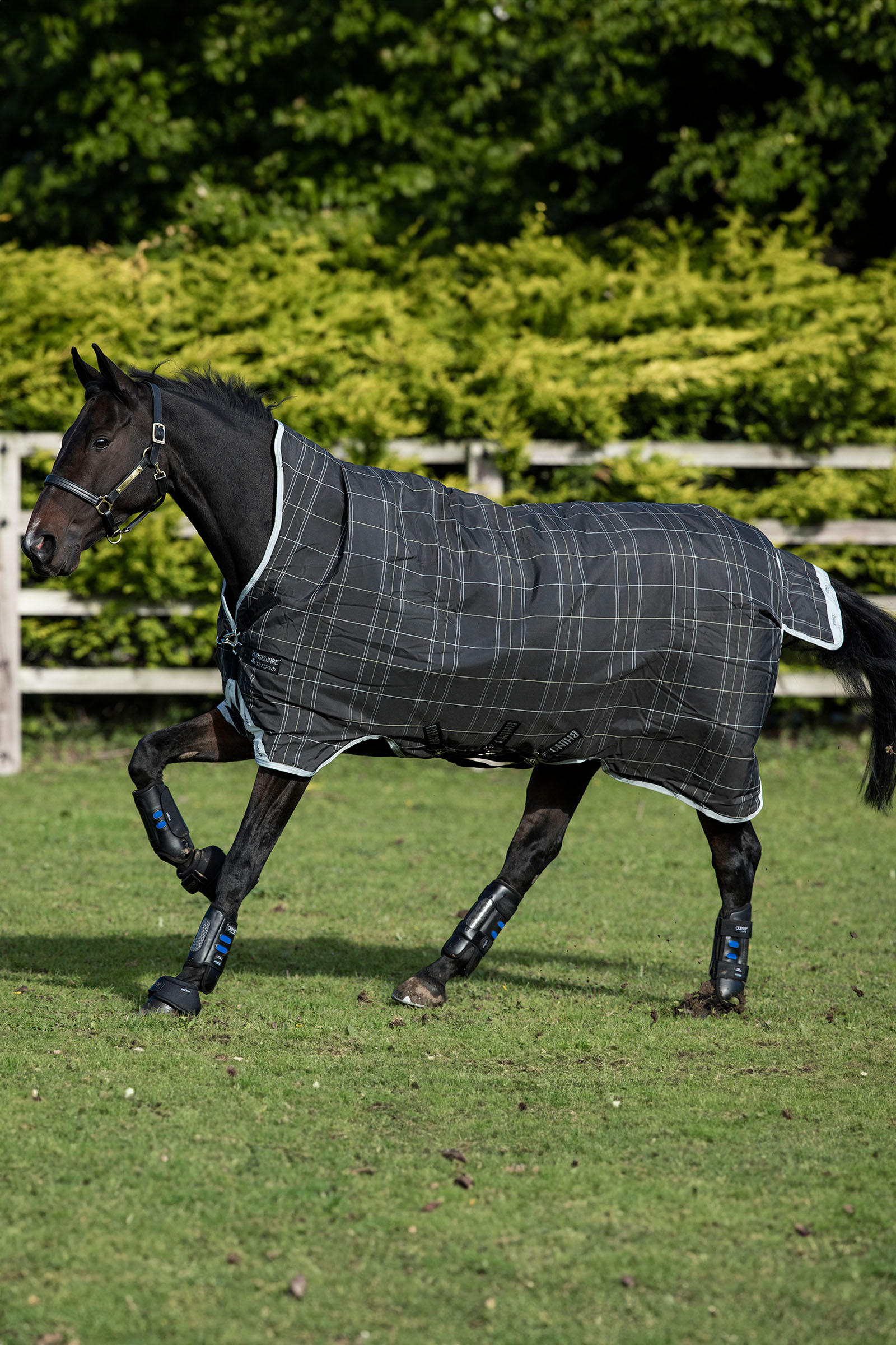 Black/Grey/White Check & Gray Horseware Rhino Wug udedækken, 100 g