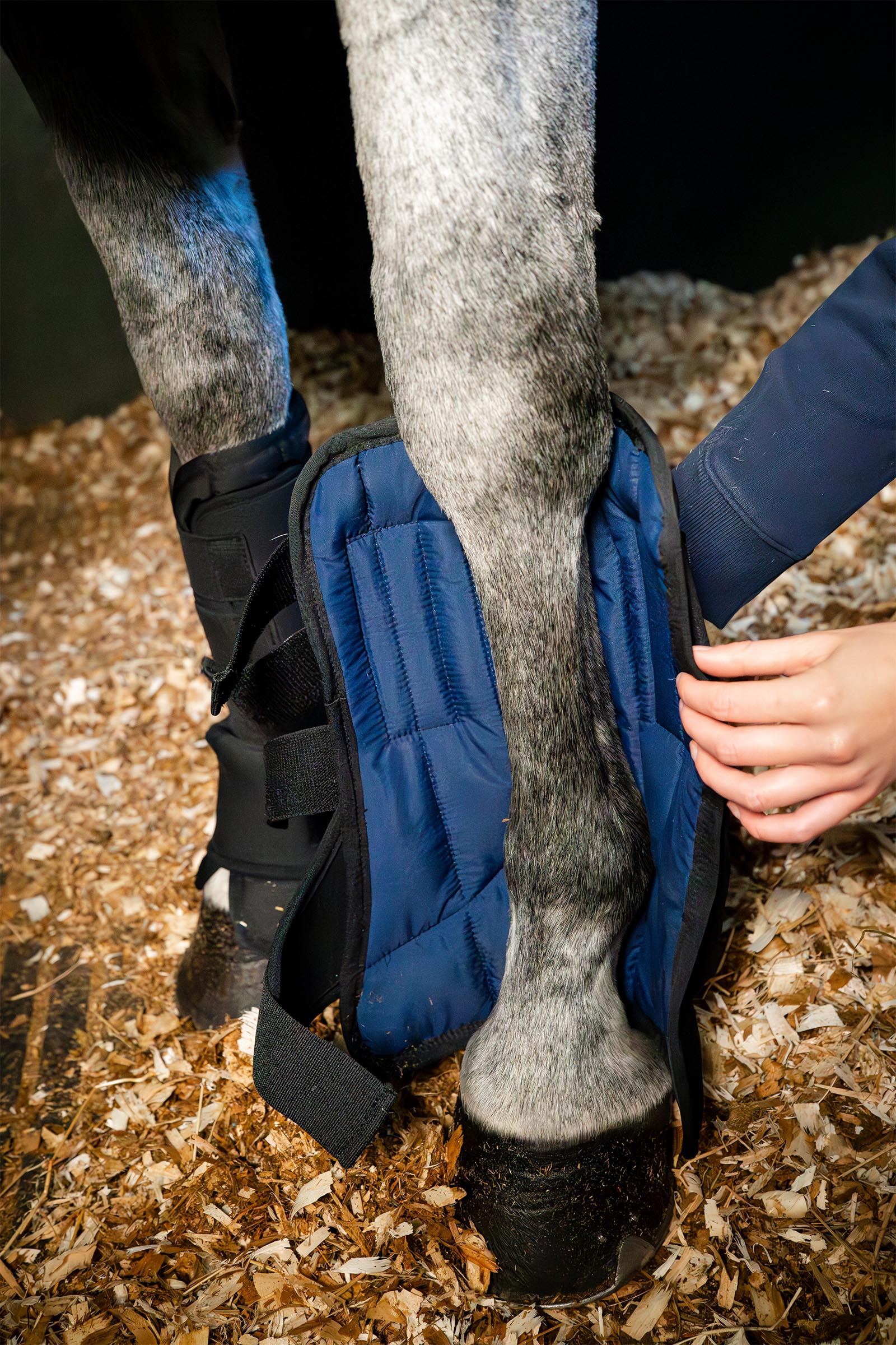 Horseware staldbeskyttelse Ionic liner