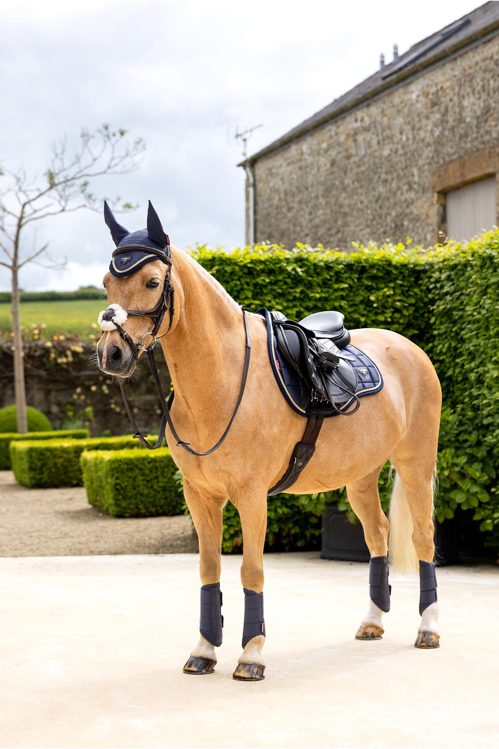 LeMieux Loire Classic Square allround underlag