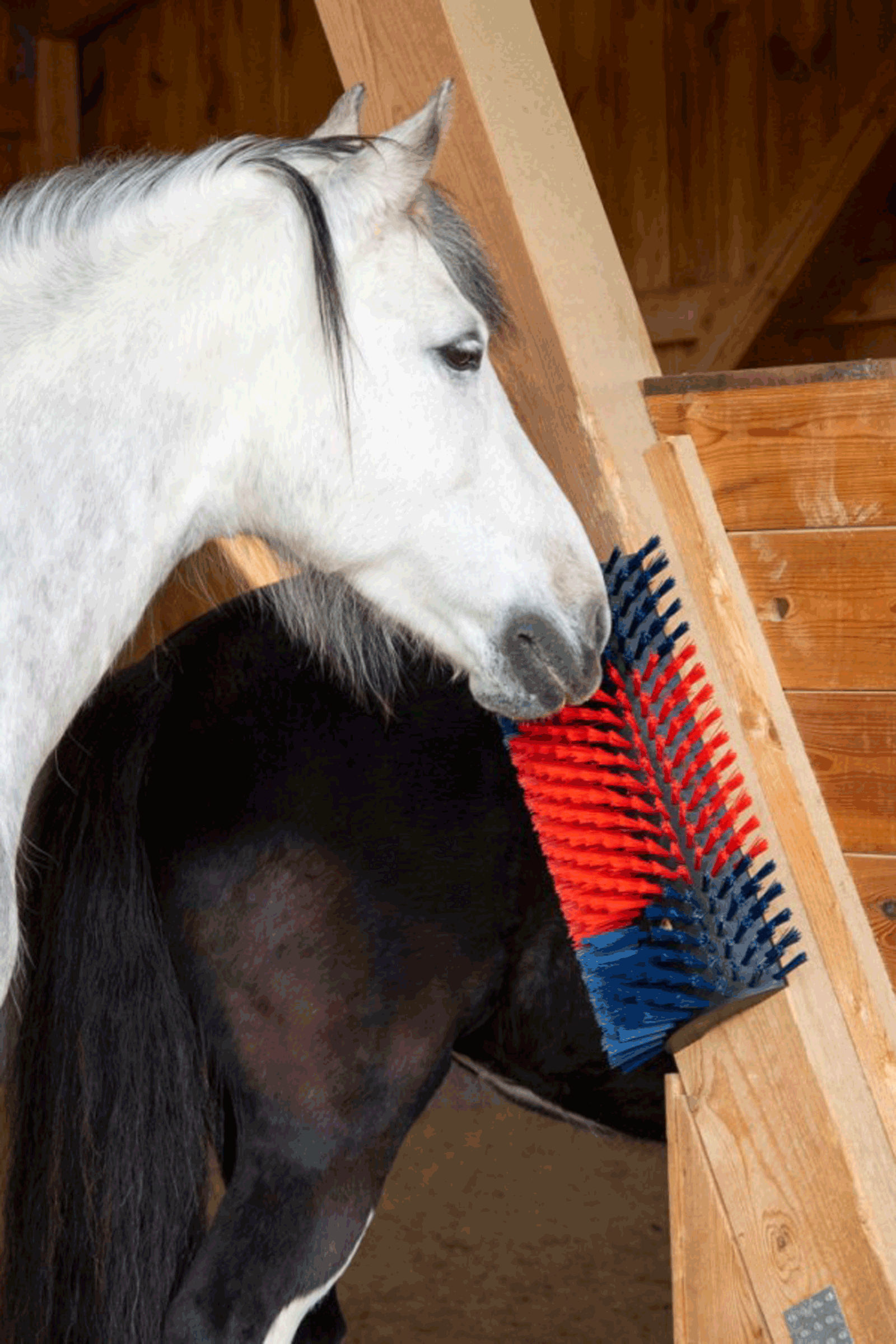 Kerbl XL kl&oslash;b&oslash;rste, rund