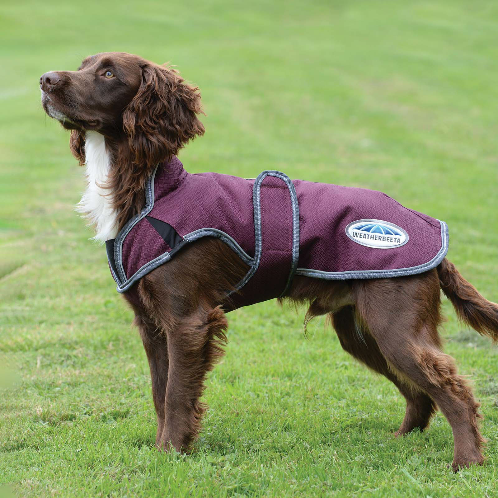 Weatherbeeta Comfitec Premier Free Parka Deluxe hundefrakke, 220 gr