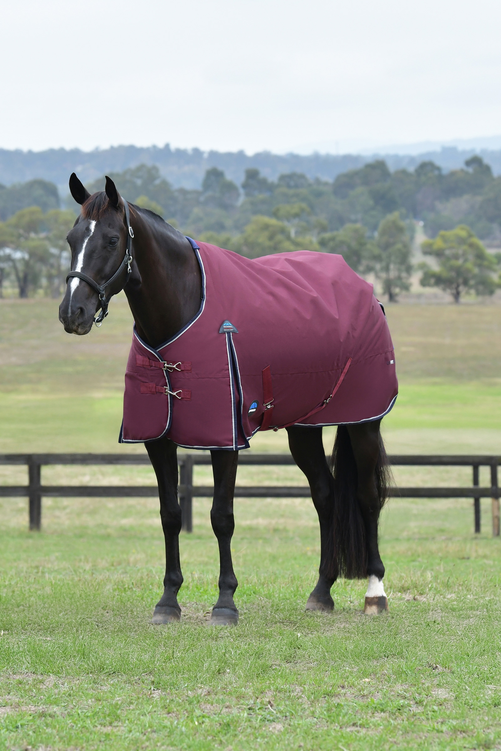 Weatherbeeta ComFiTec Essential Udend&oslash;rs Standard Hals 50G