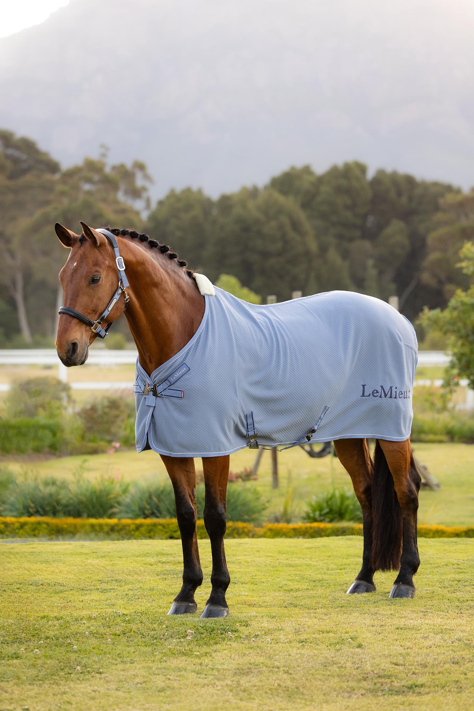 Powder Blue LeMieux Kudos bambus cooler d&aelig;kken