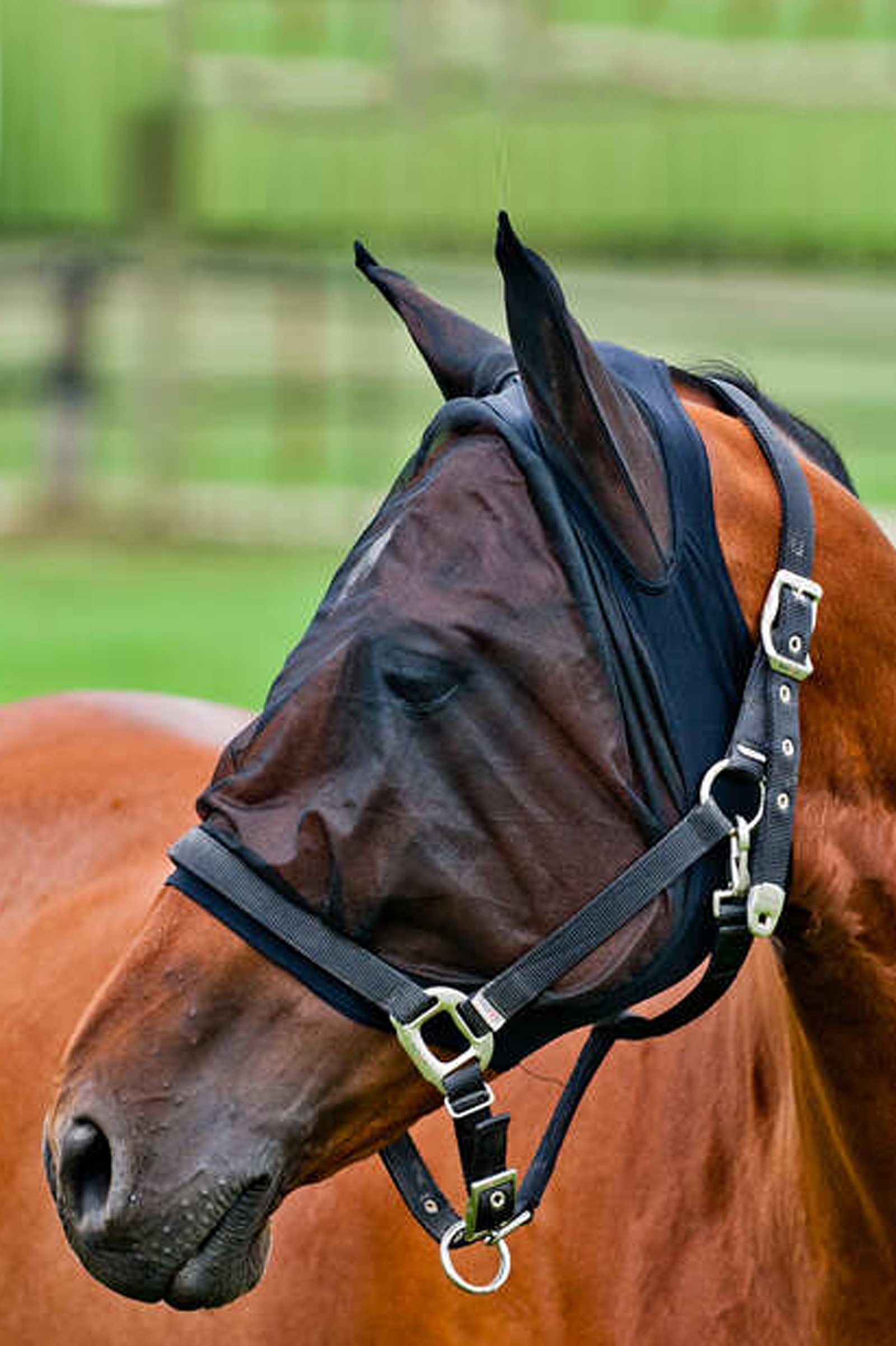 Horze fluemaske