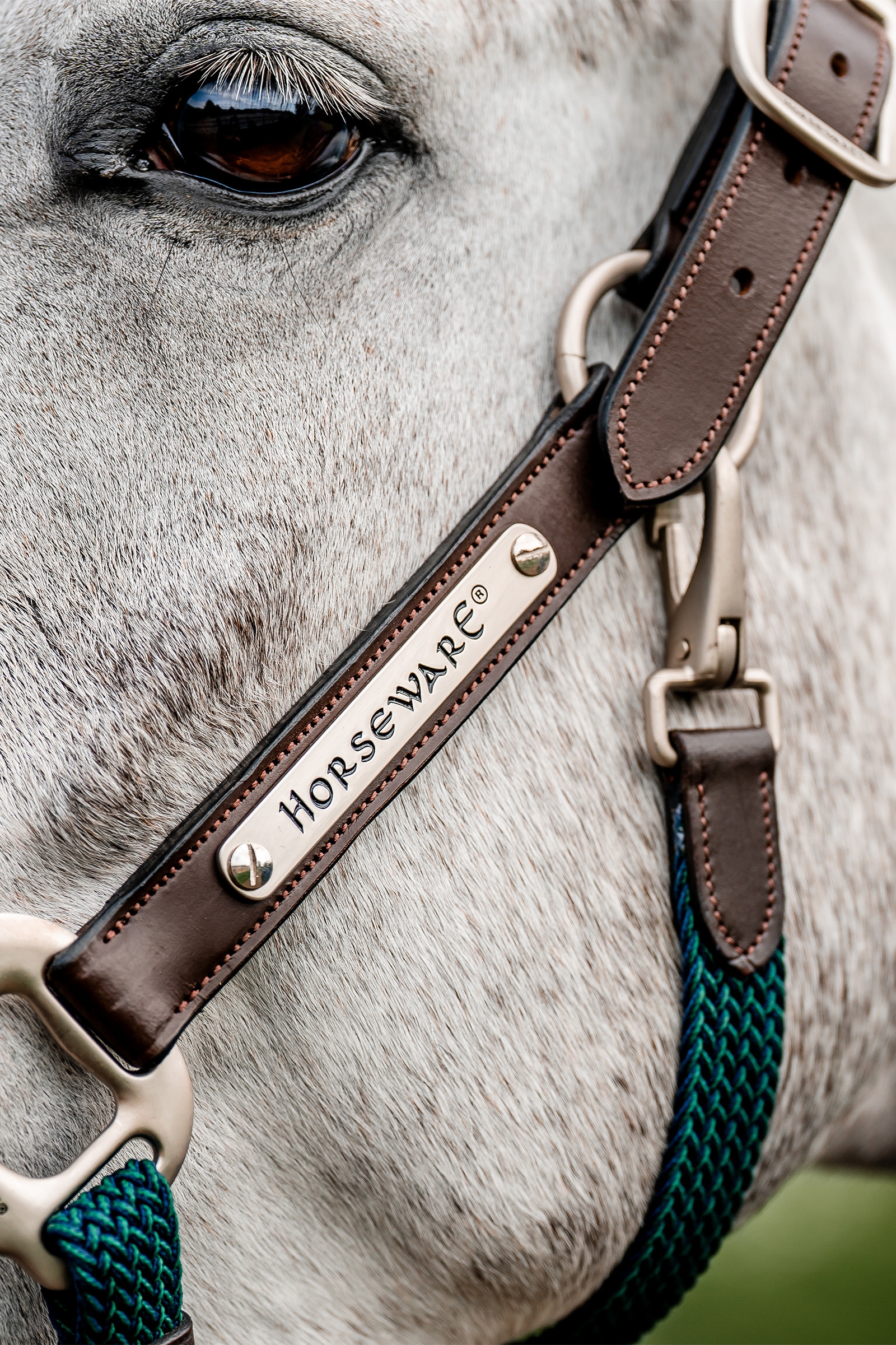 Horseware signatur flettet grime