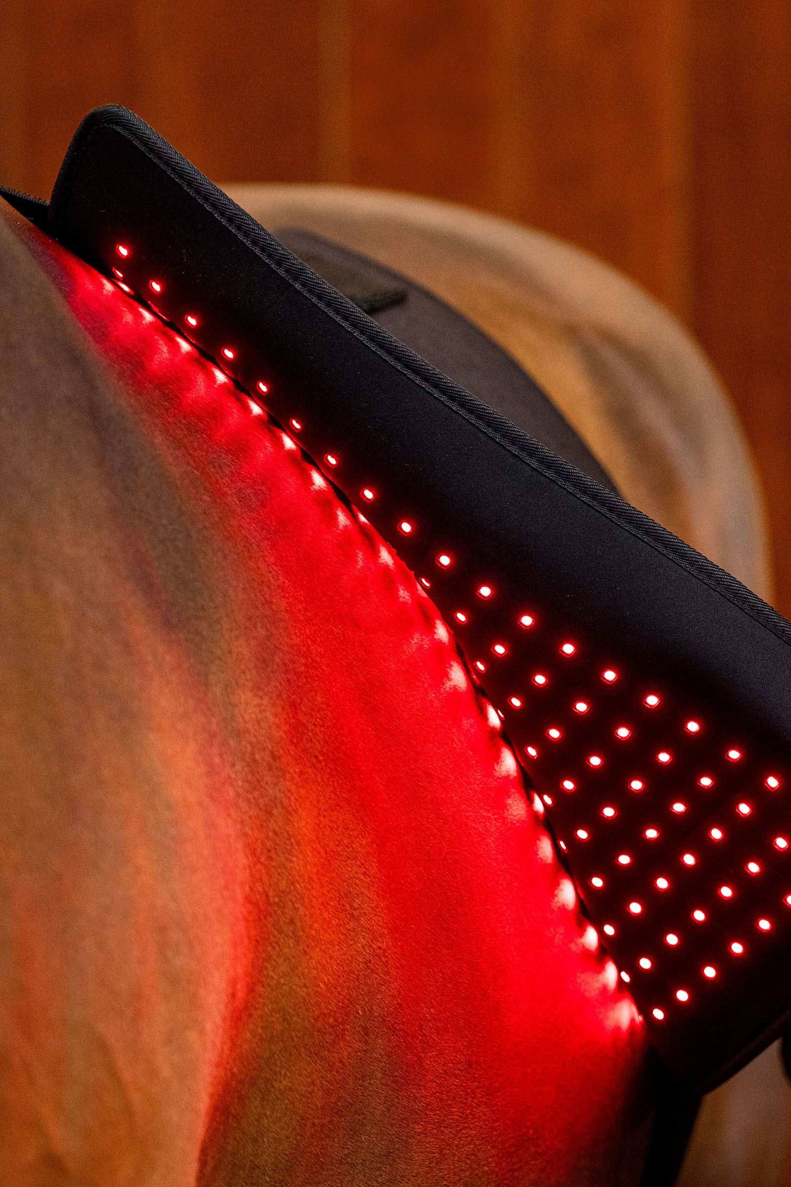 Horseware LED r&oslash;dlysterapi Pad