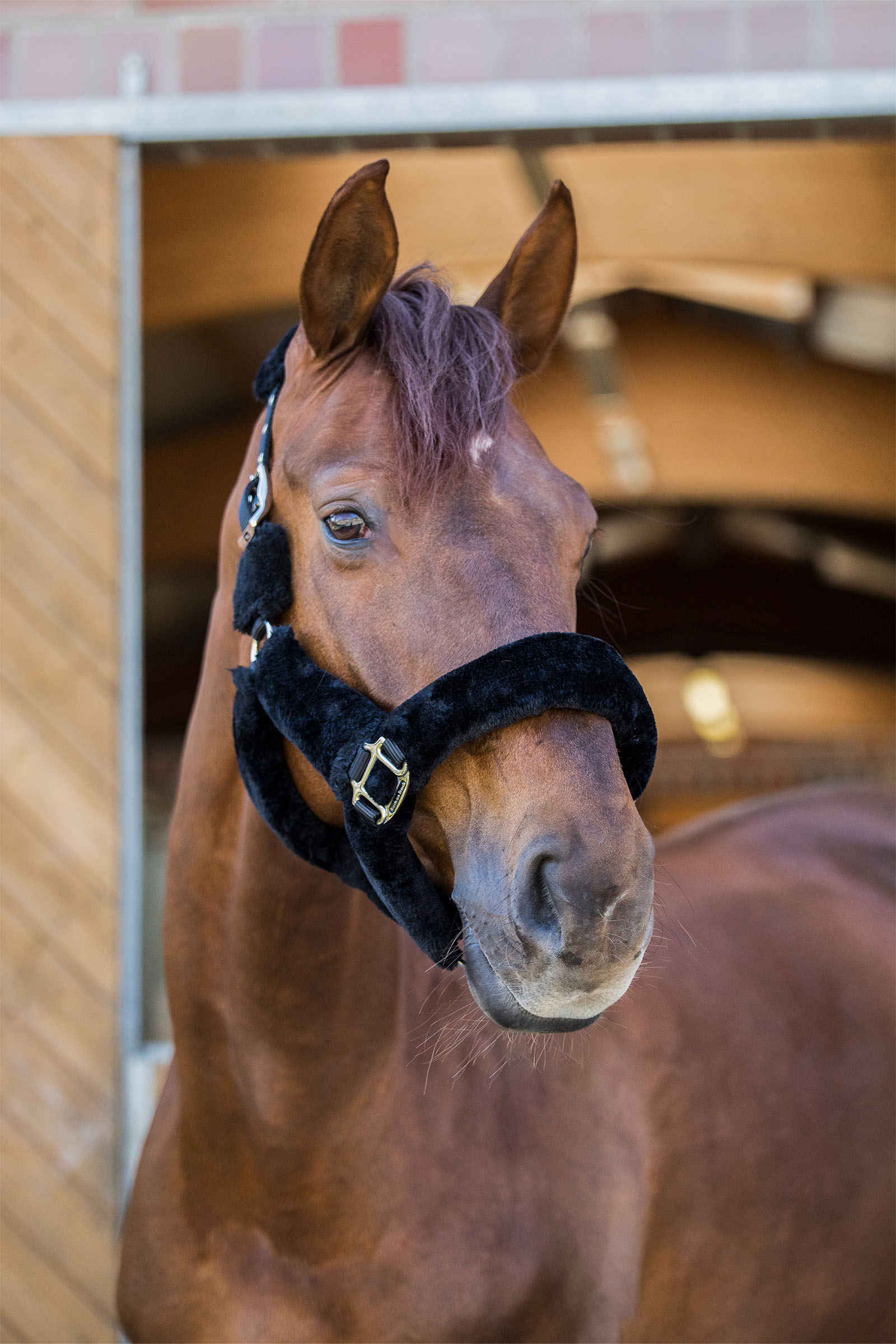 Back on Track Audrey grime