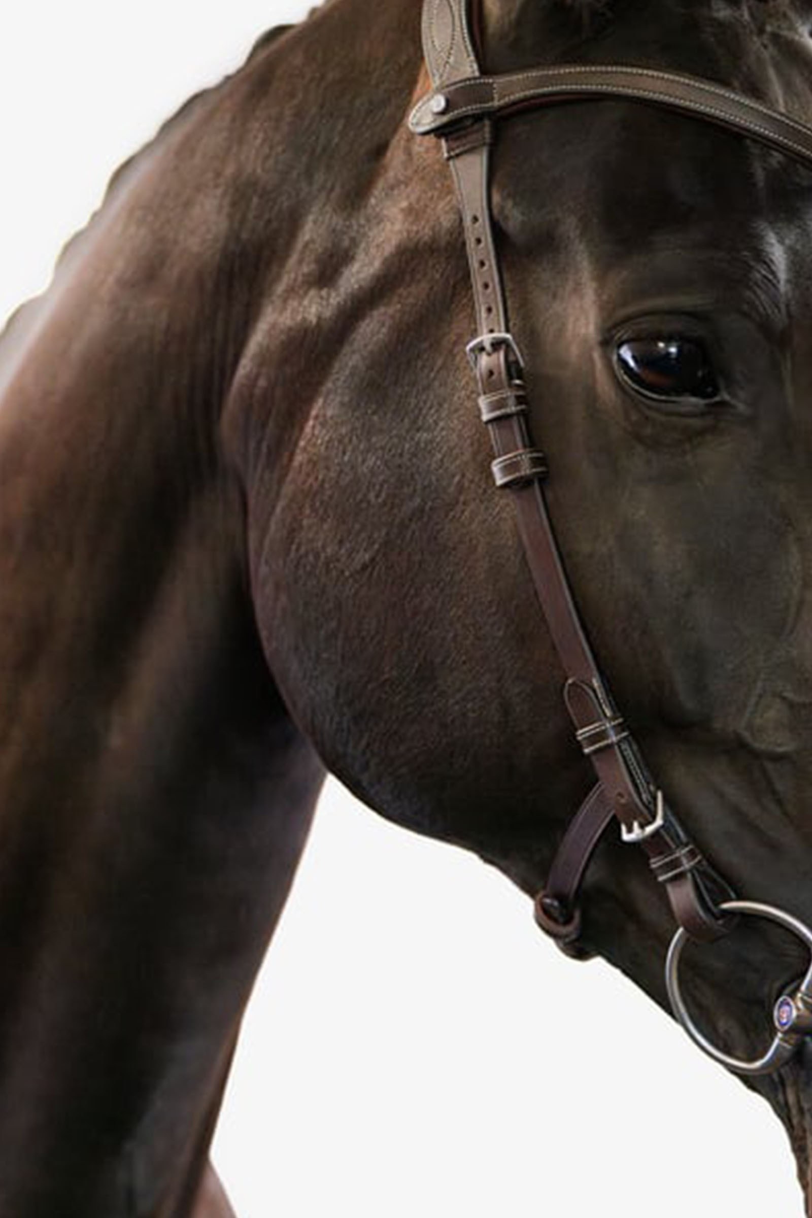 PS of Sweden Helsinki trense