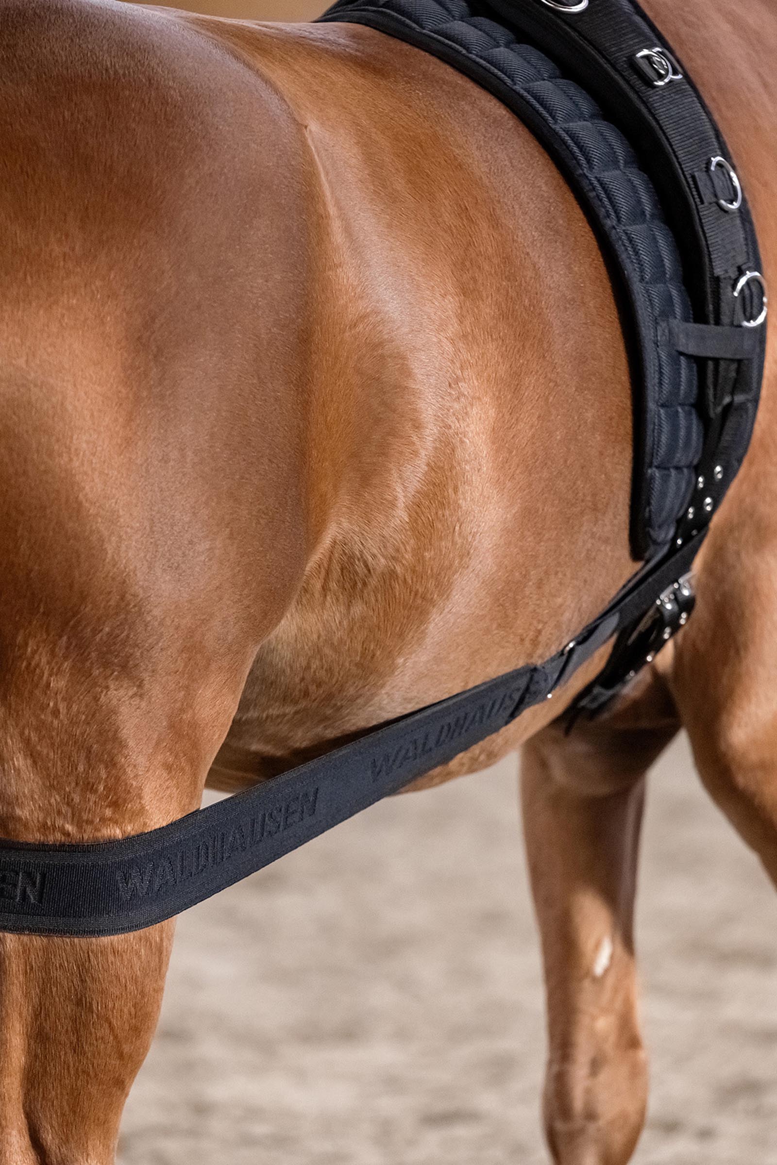 Waldhausen body bandage til aktivering af bagparten