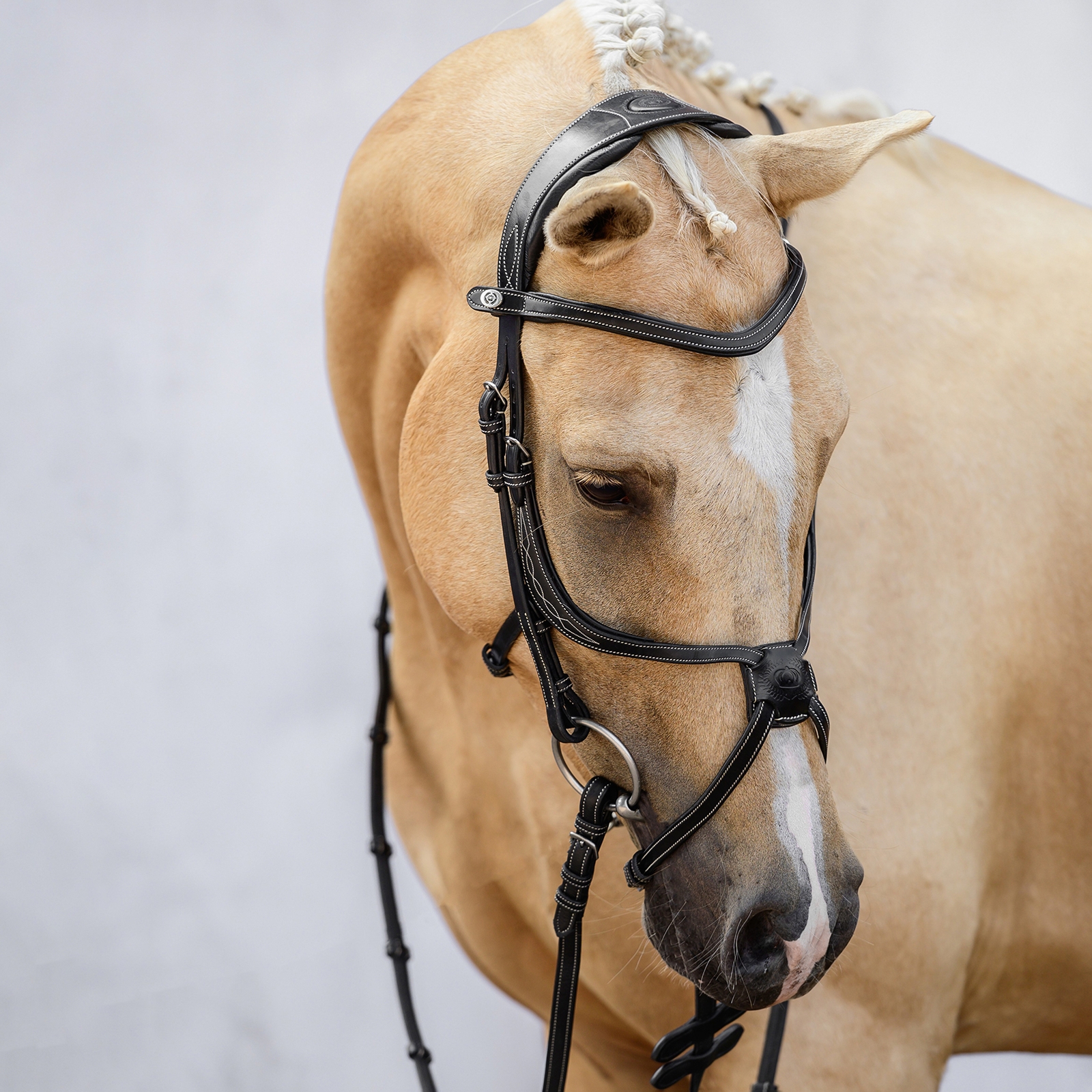 PS of Sweden Athens mexicansk trense