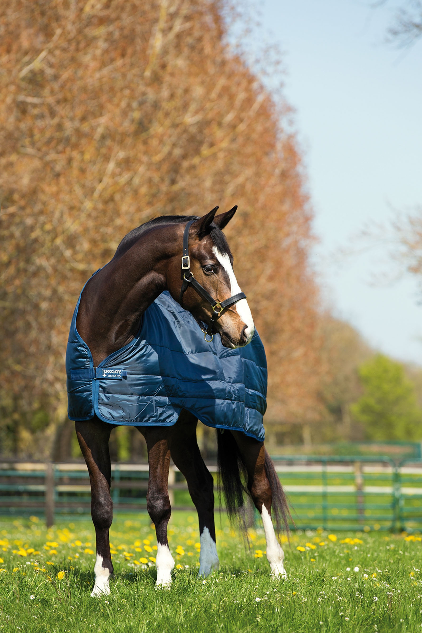 Horseware liner 400 g