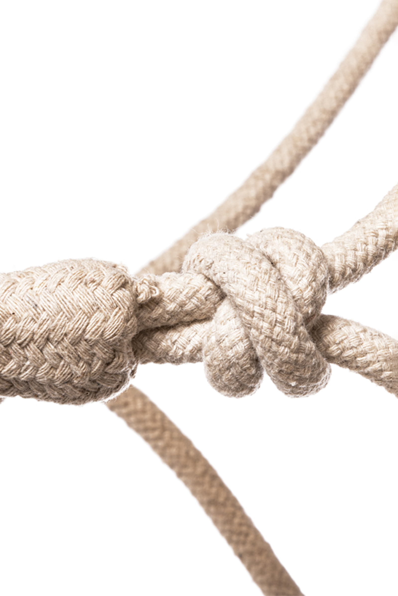 Kavalkade Knude repgrime