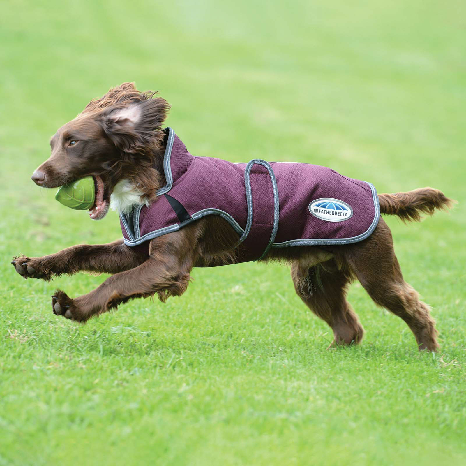 Weatherbeeta Comfitec Premier Free Parka Deluxe hundefrakke, 220 gr