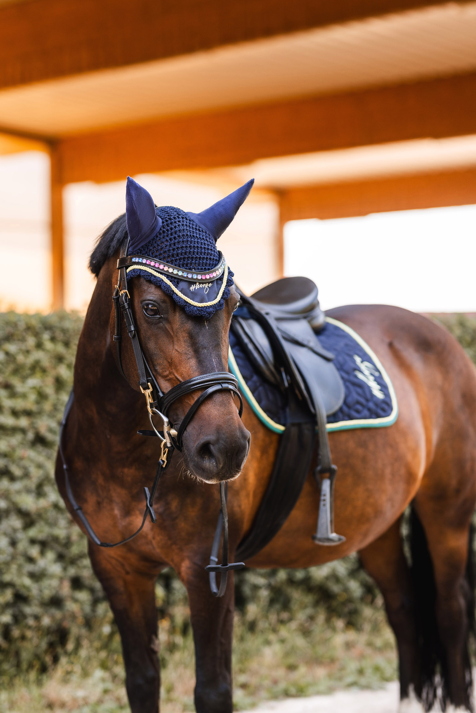 Horze Magic Carousel Part 2 Pony Hut