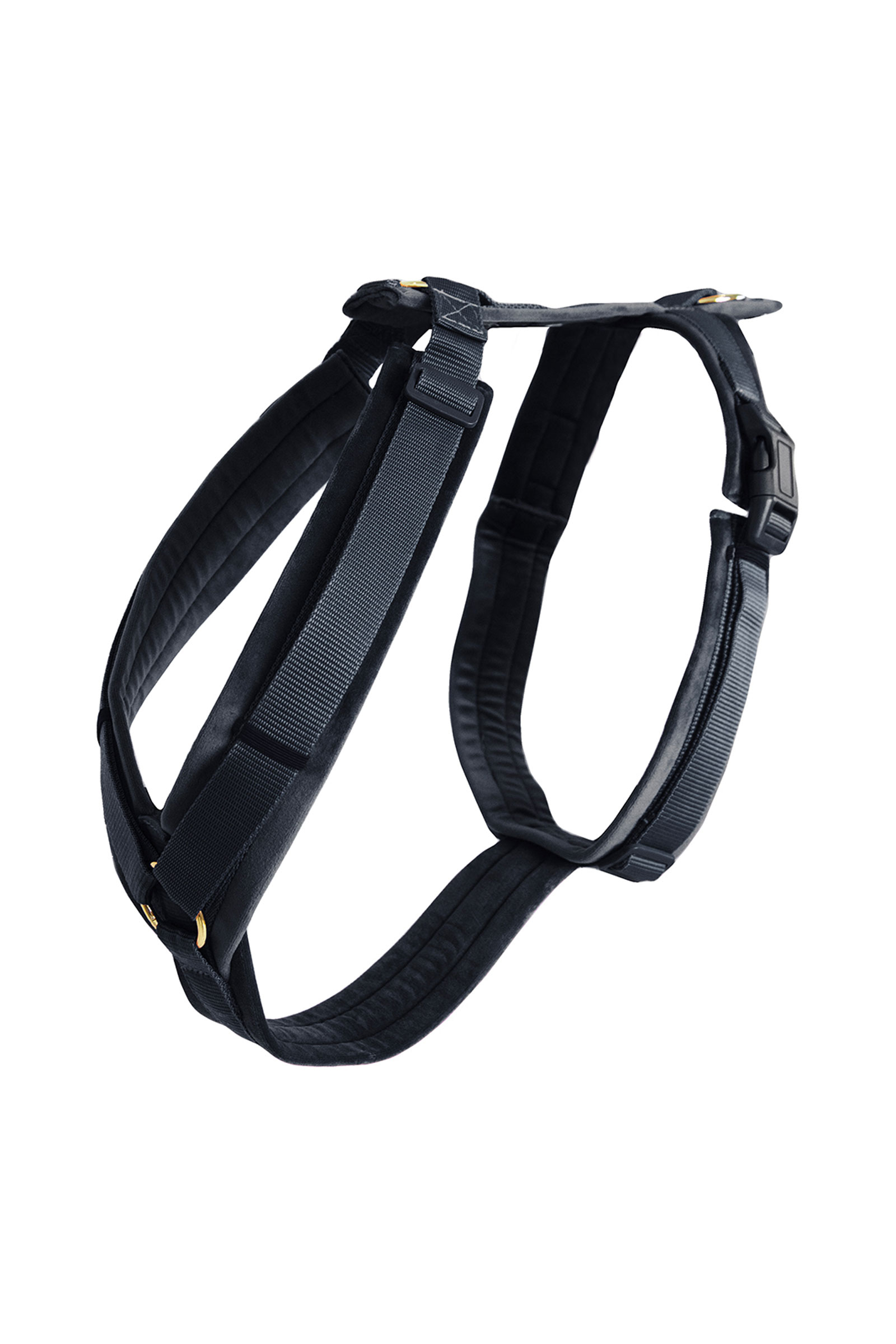 Black Kentucky Dogwear Active Velvet hundesele