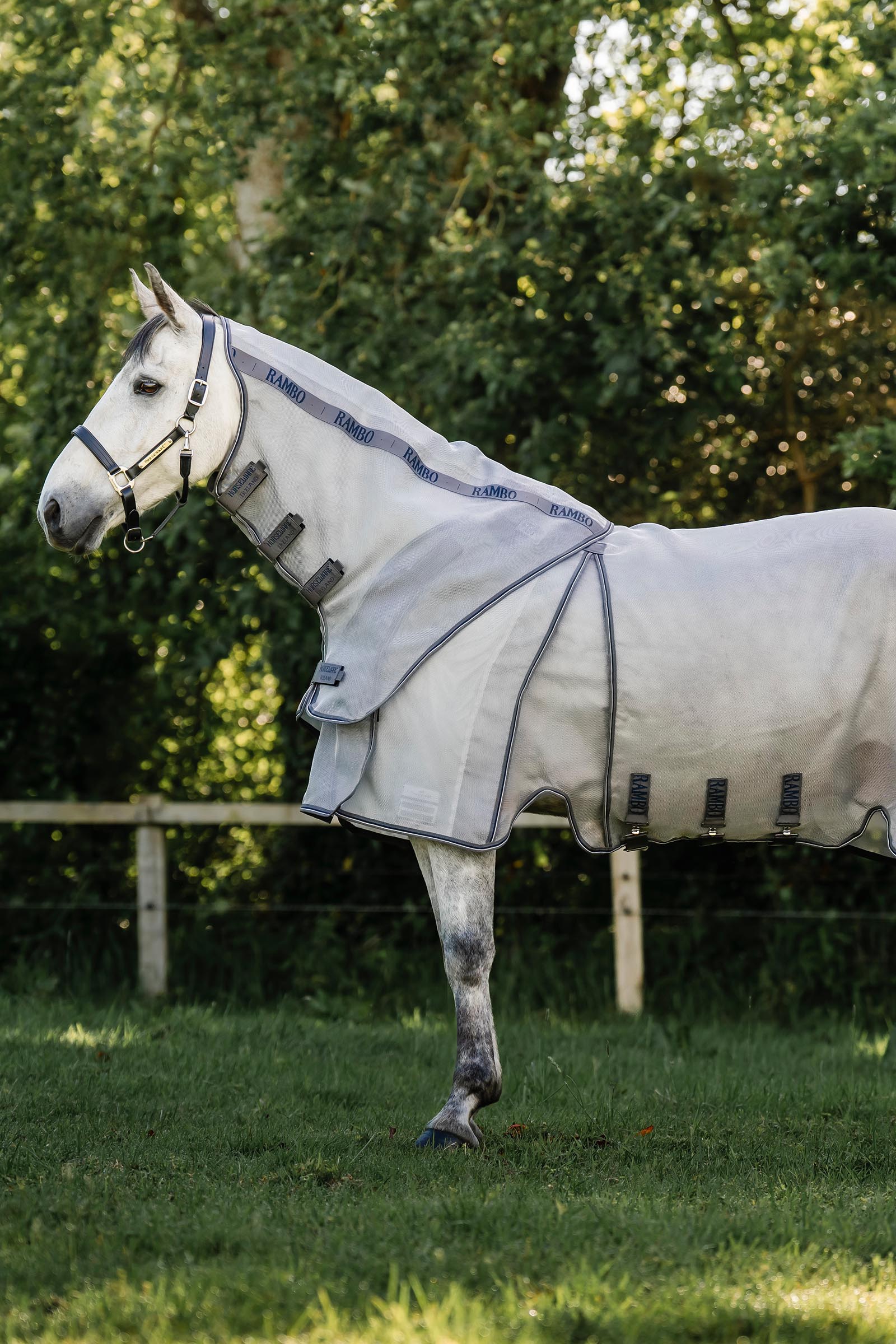 Horseware Rambo Optimo Protector Plus d&aelig;kken