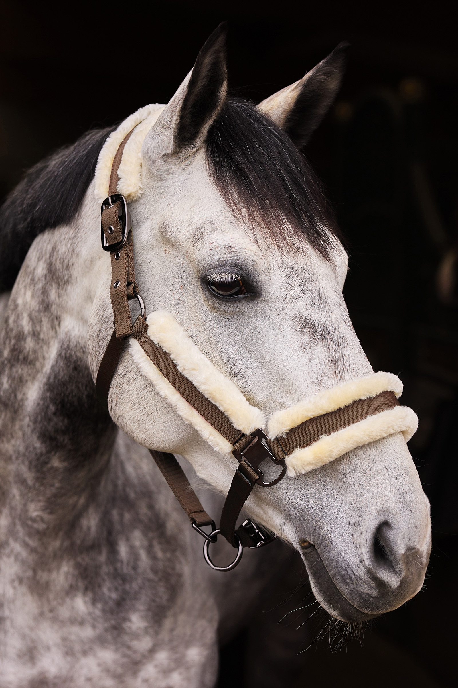 Horze Marquess grime med faux fur