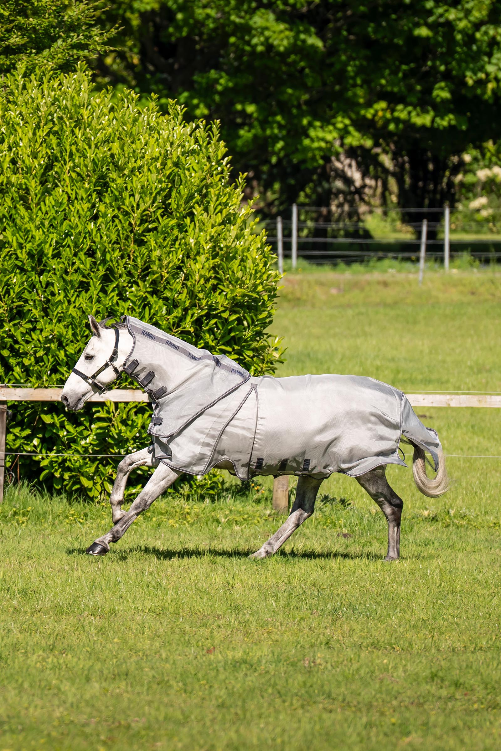 Horseware Rambo Optimo Protector Plus d&aelig;kken