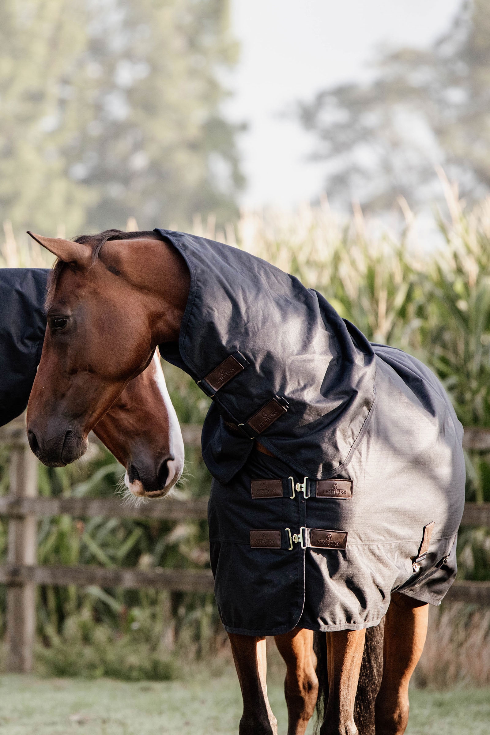 Kentucky Horsewear All Weather Classic overgangsdækken, 150 gr