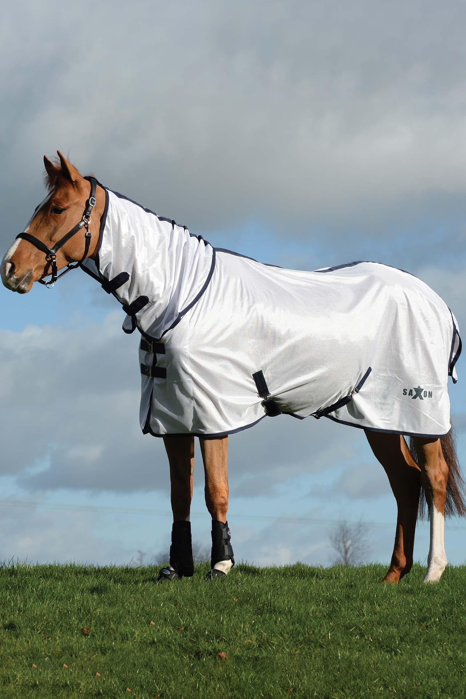 Saxon Mesh Combo-d&aelig;kken med fast hals