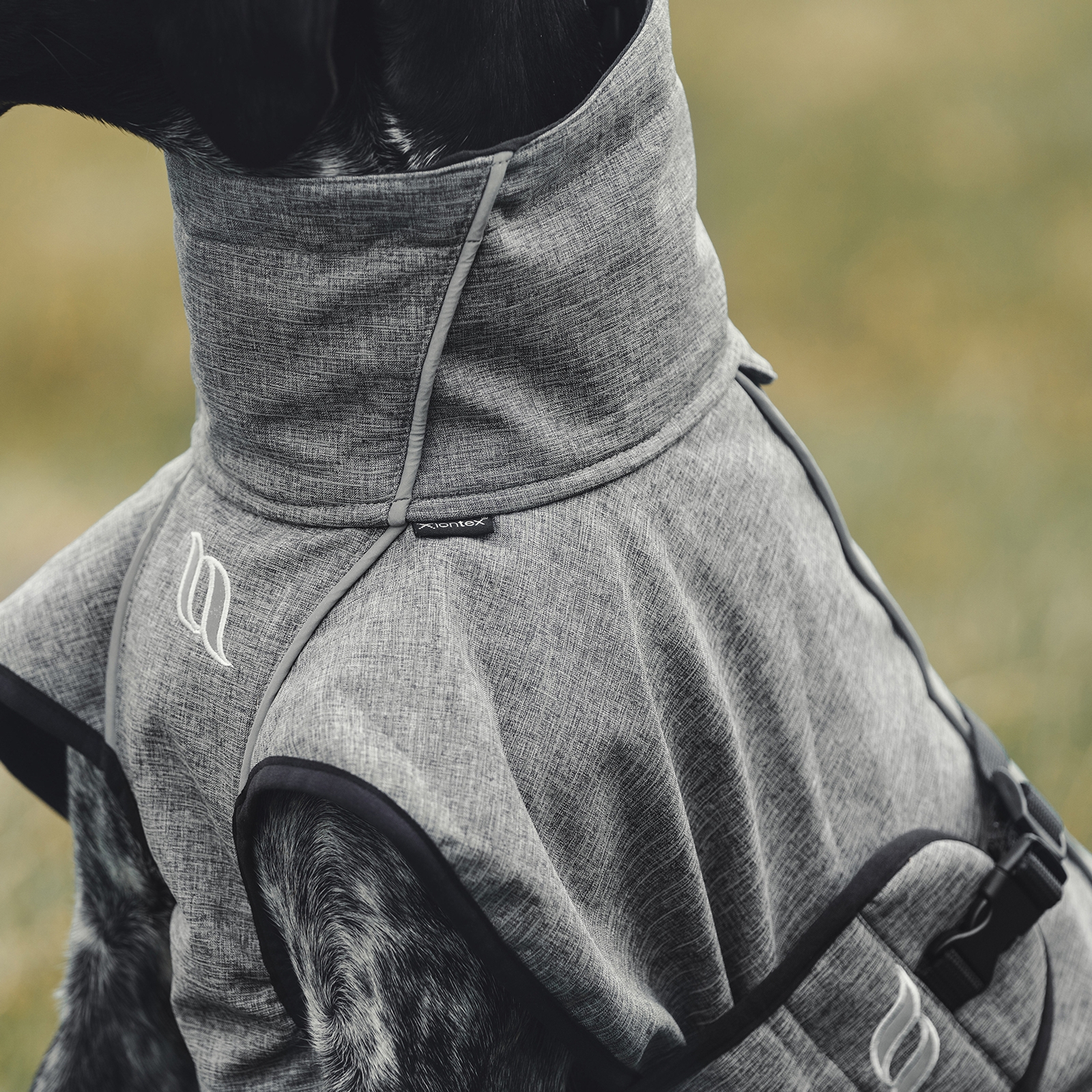 Back on Track Nella All-Round Dog Coat, 25-35cm